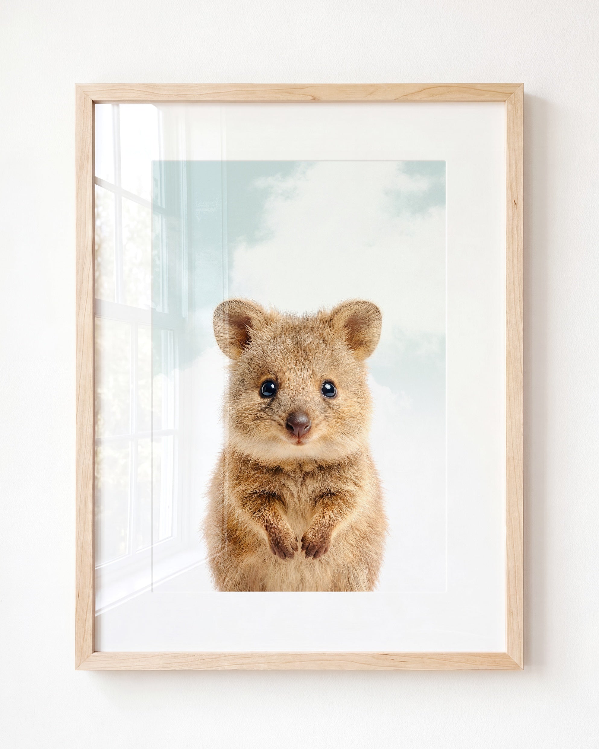 Baby Quokka