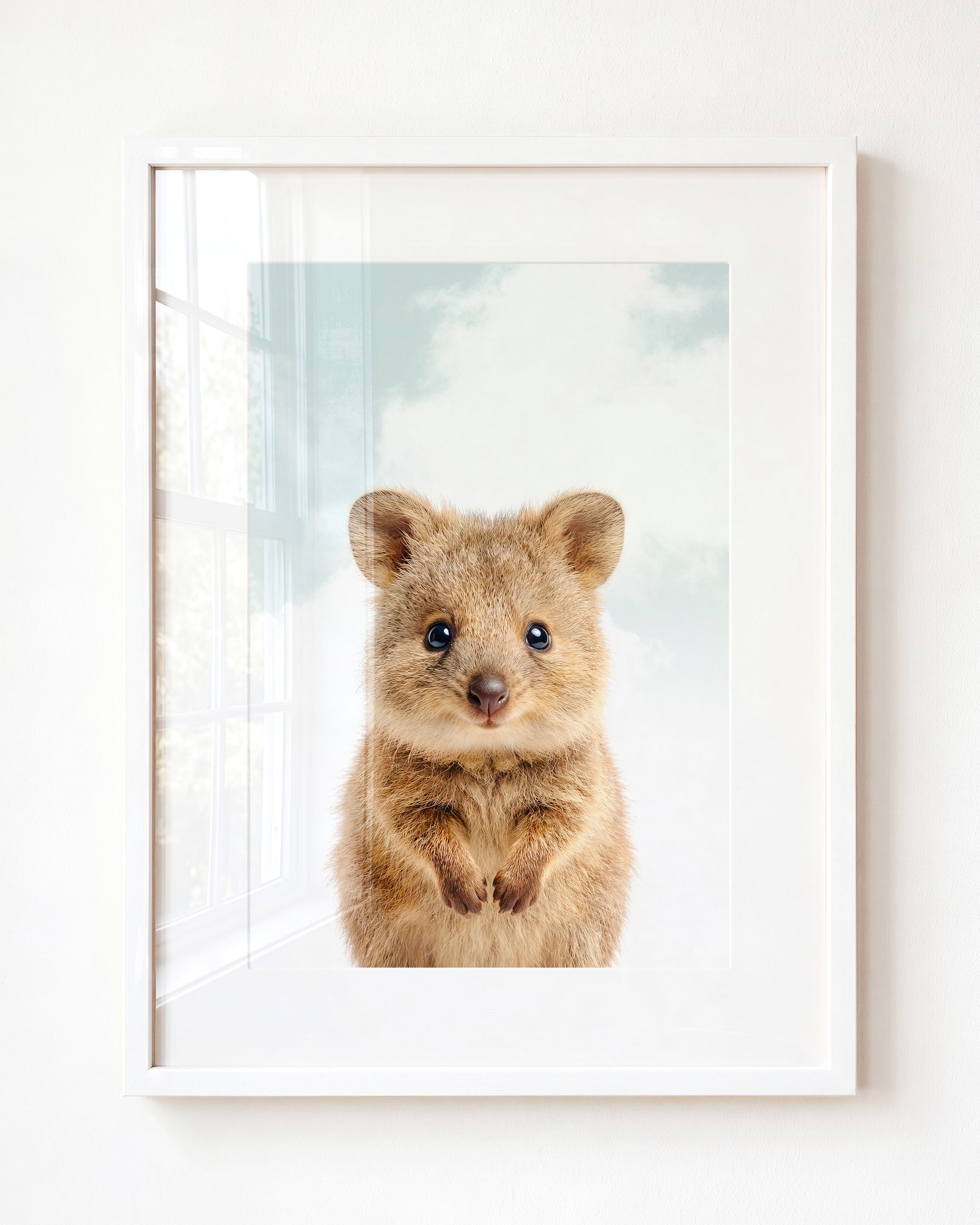 Baby Quokka
