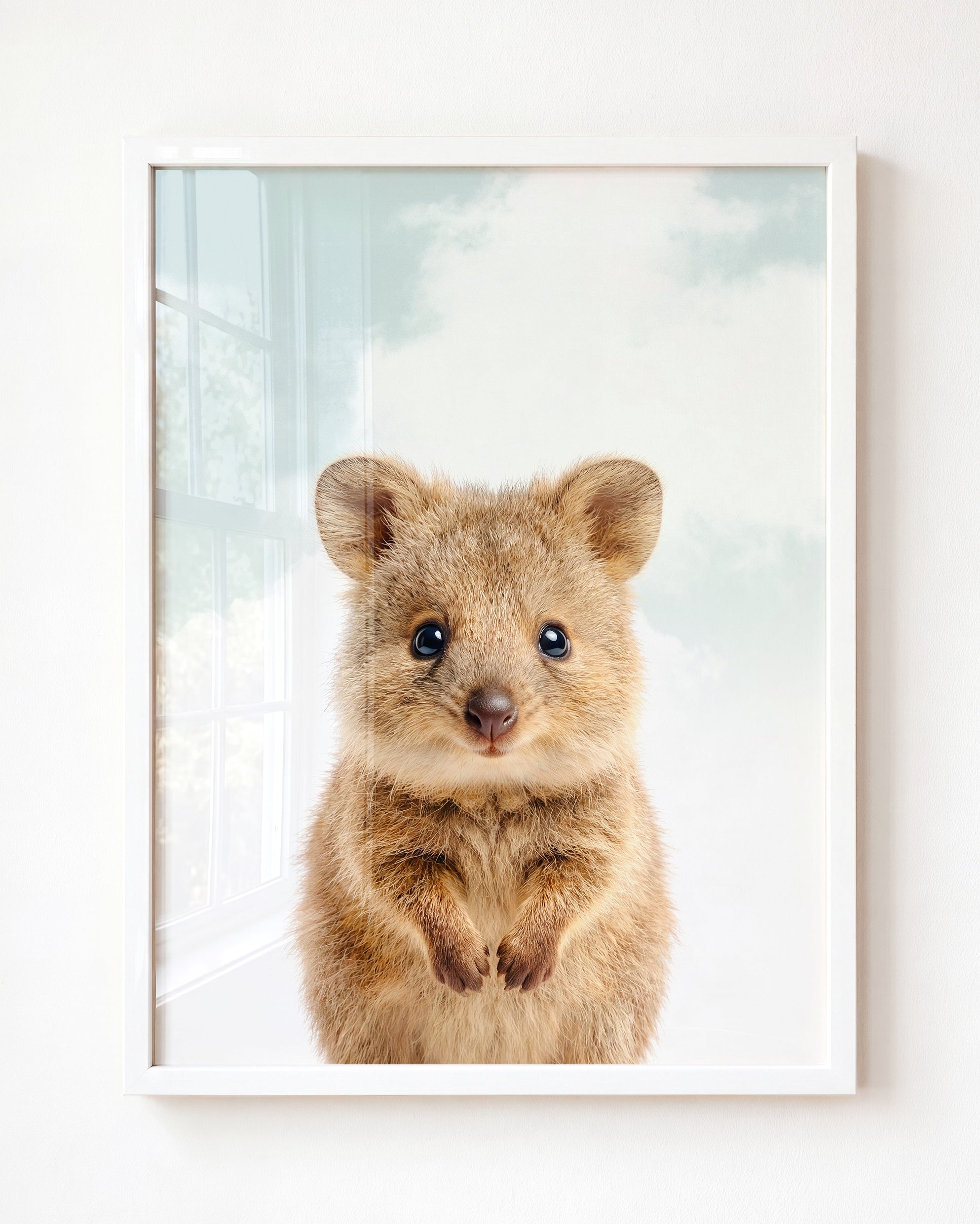 Baby Quokka