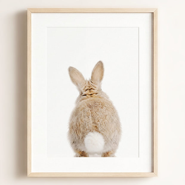 Baby Rabbit Bum