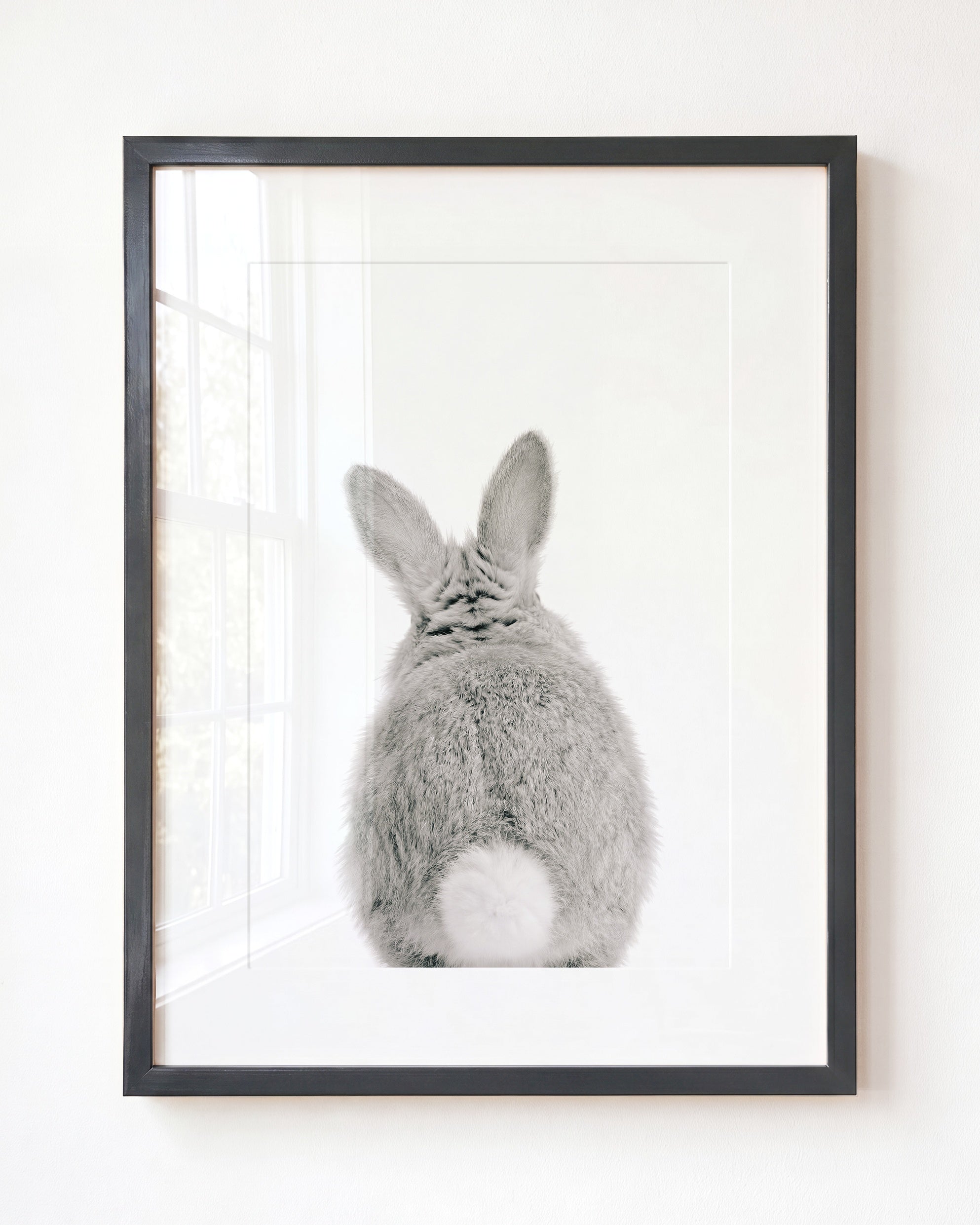 Baby Rabbit Bum