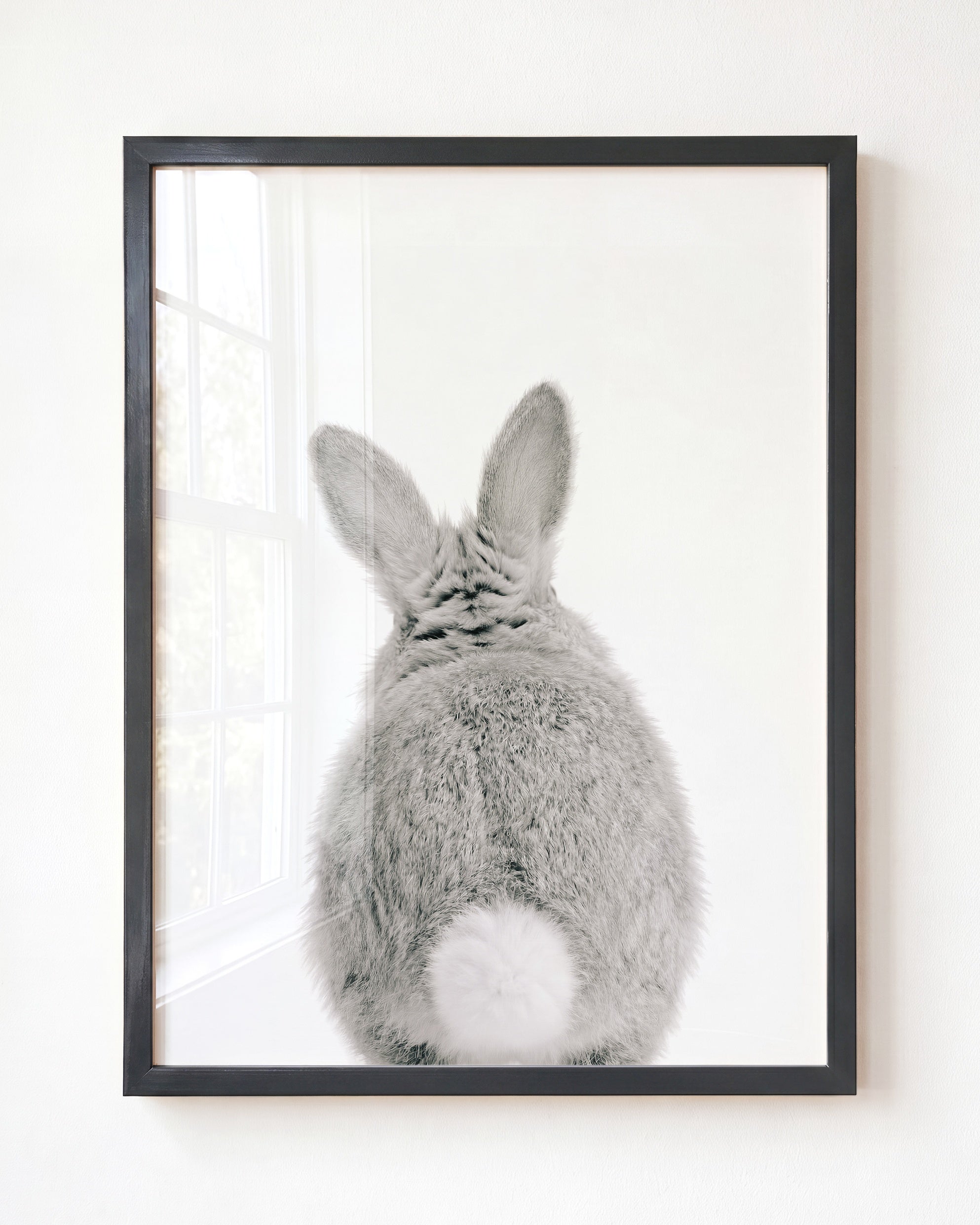 Baby Rabbit Bum