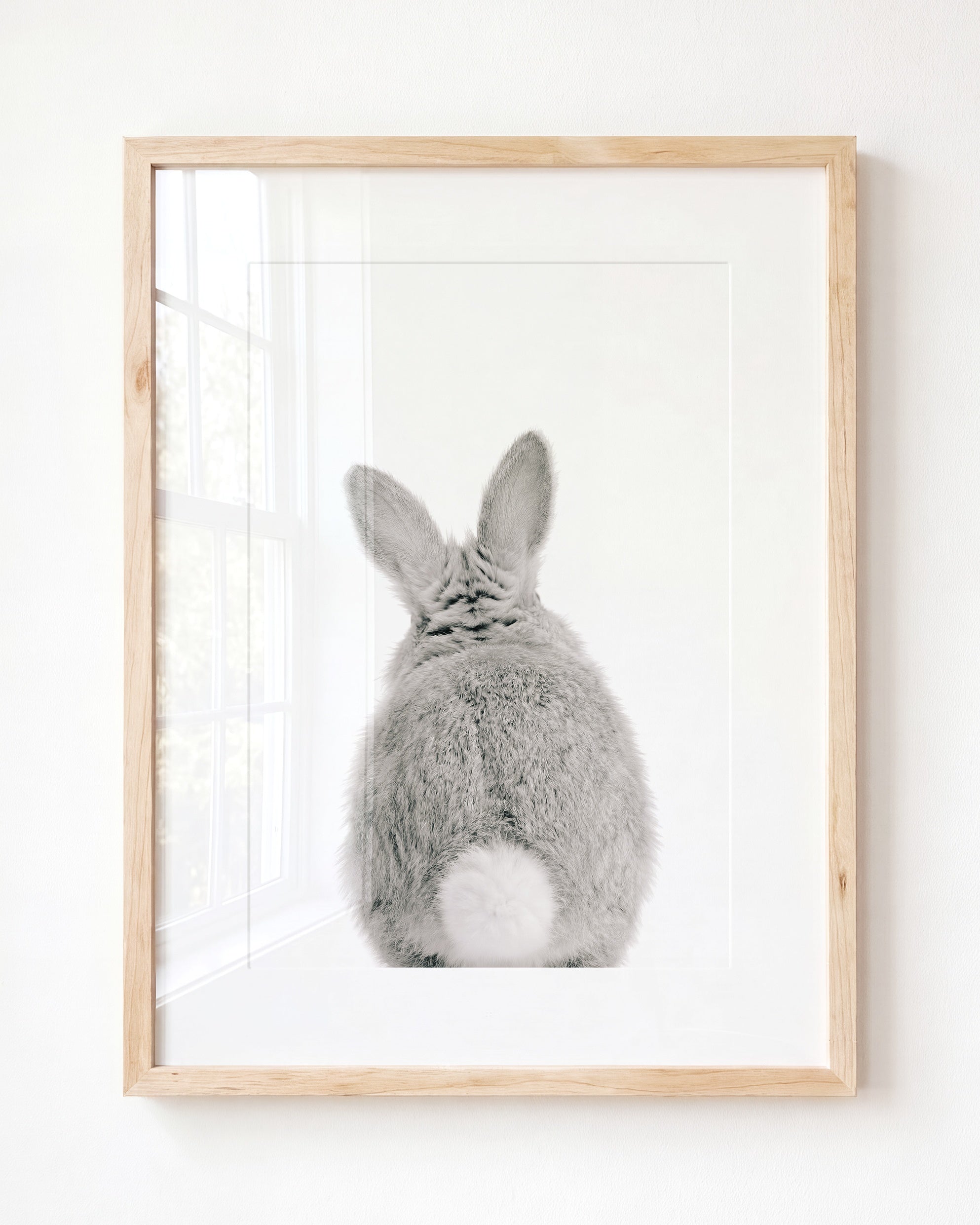 Baby Rabbit Bum