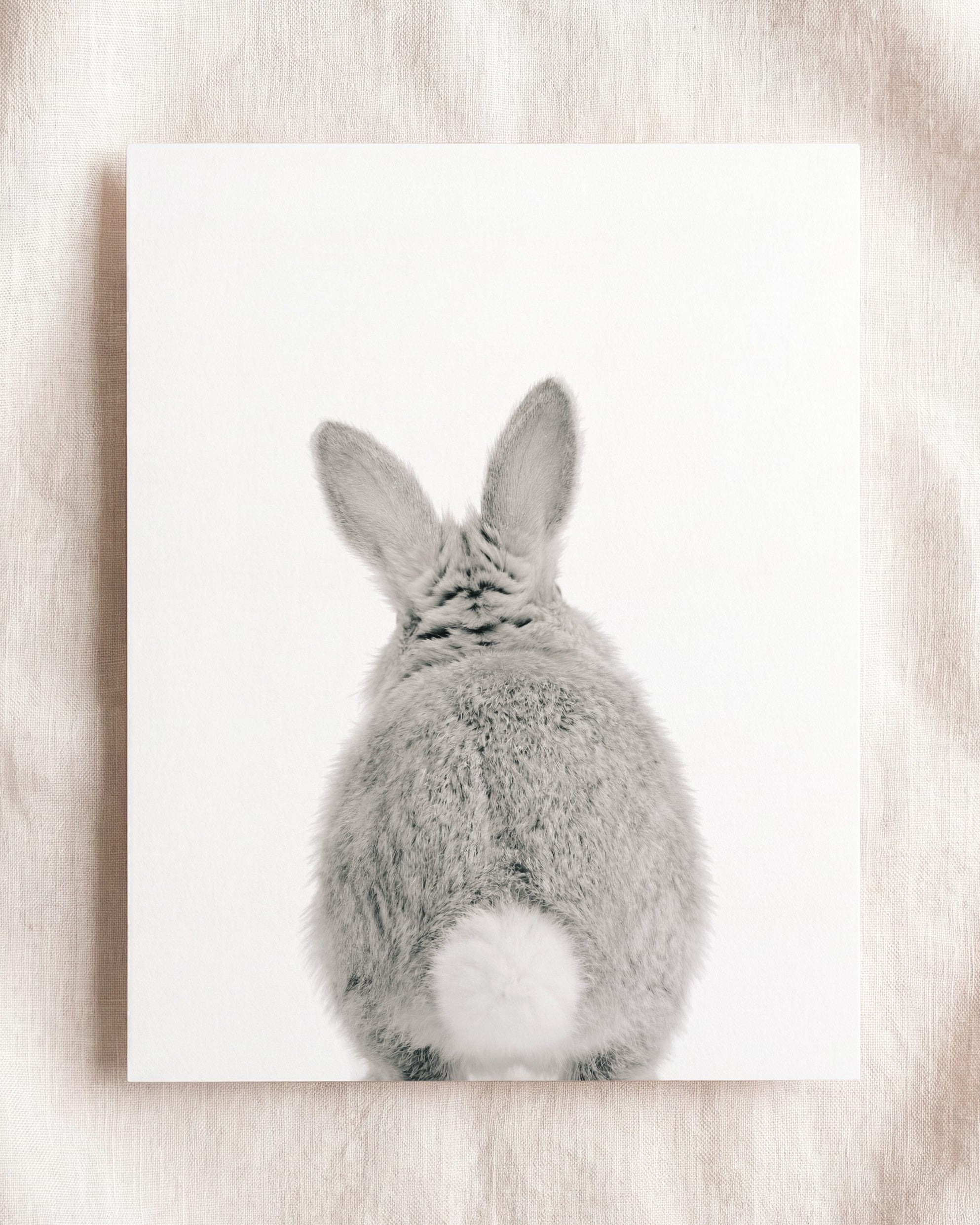 Baby Rabbit Bum