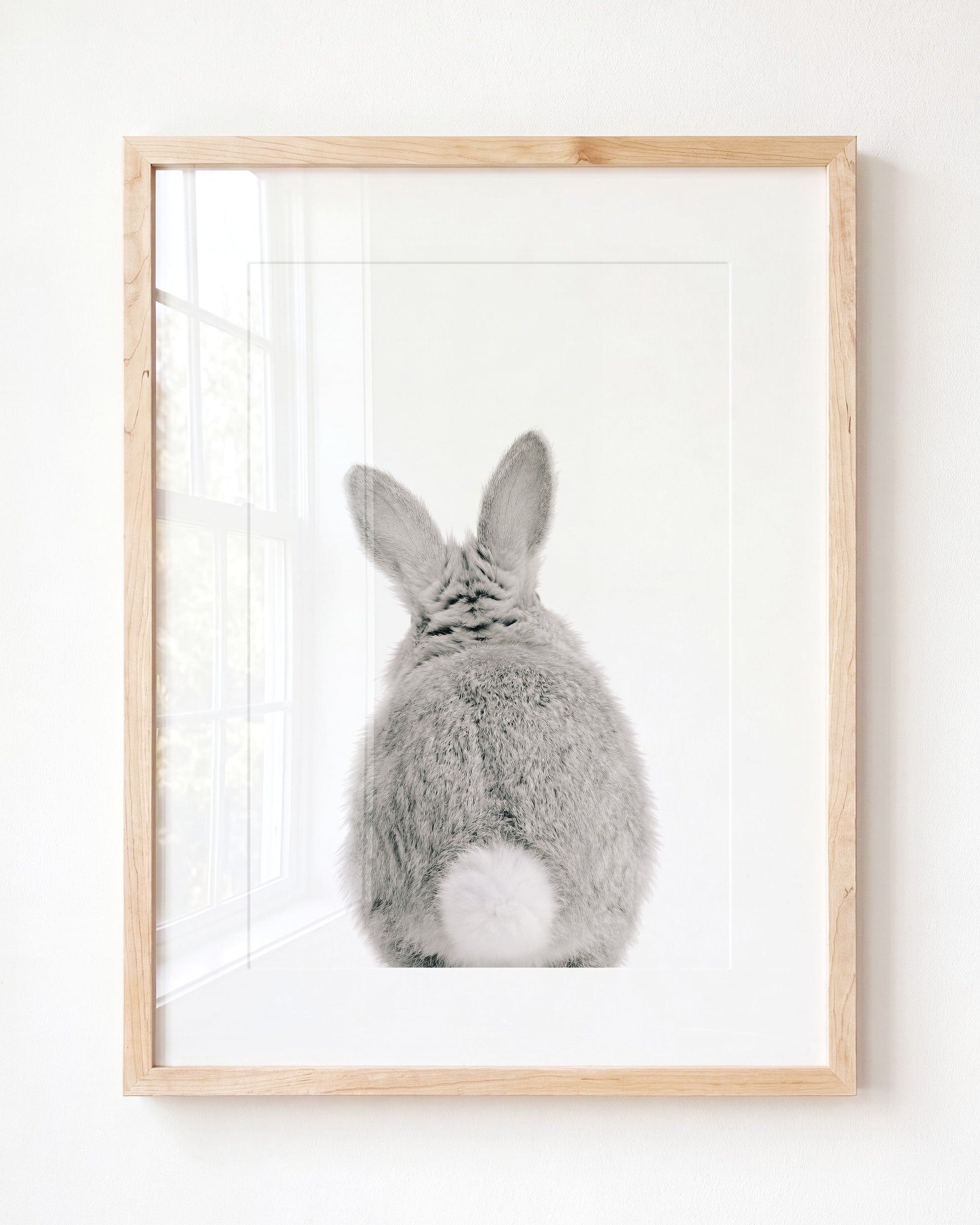 Baby Rabbit Bum
