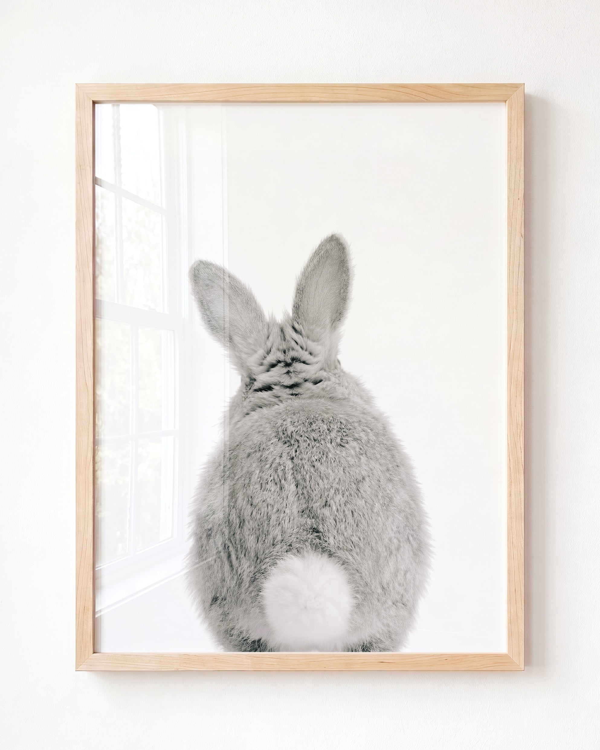 Baby Rabbit Bum