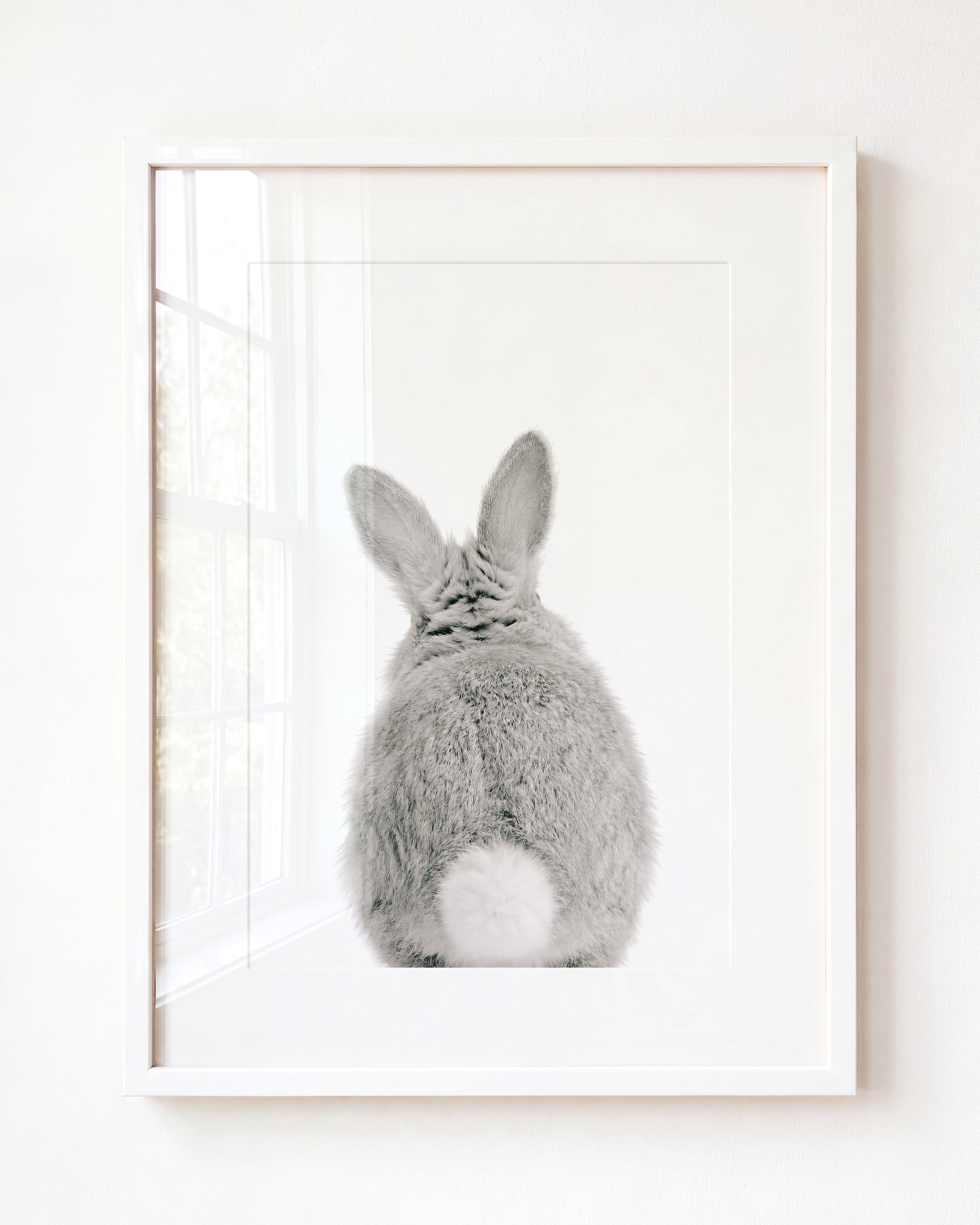 Baby Rabbit Bum