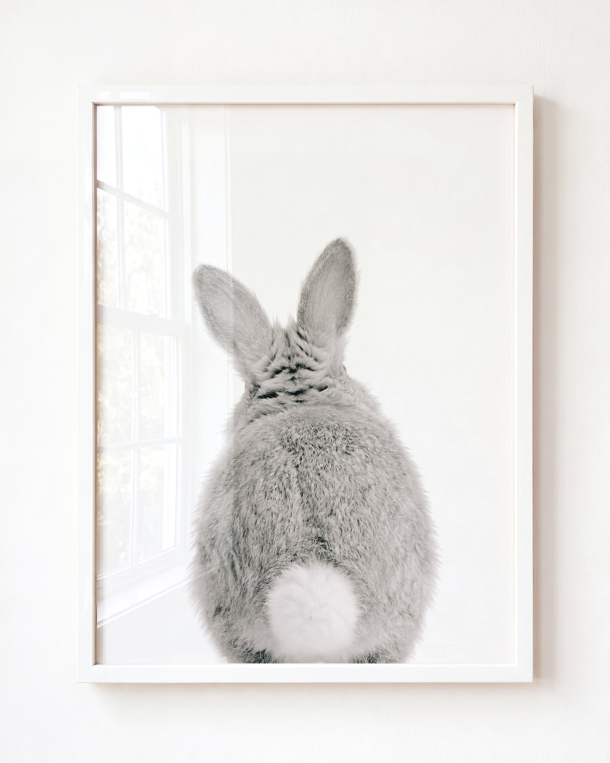 Baby Rabbit Bum