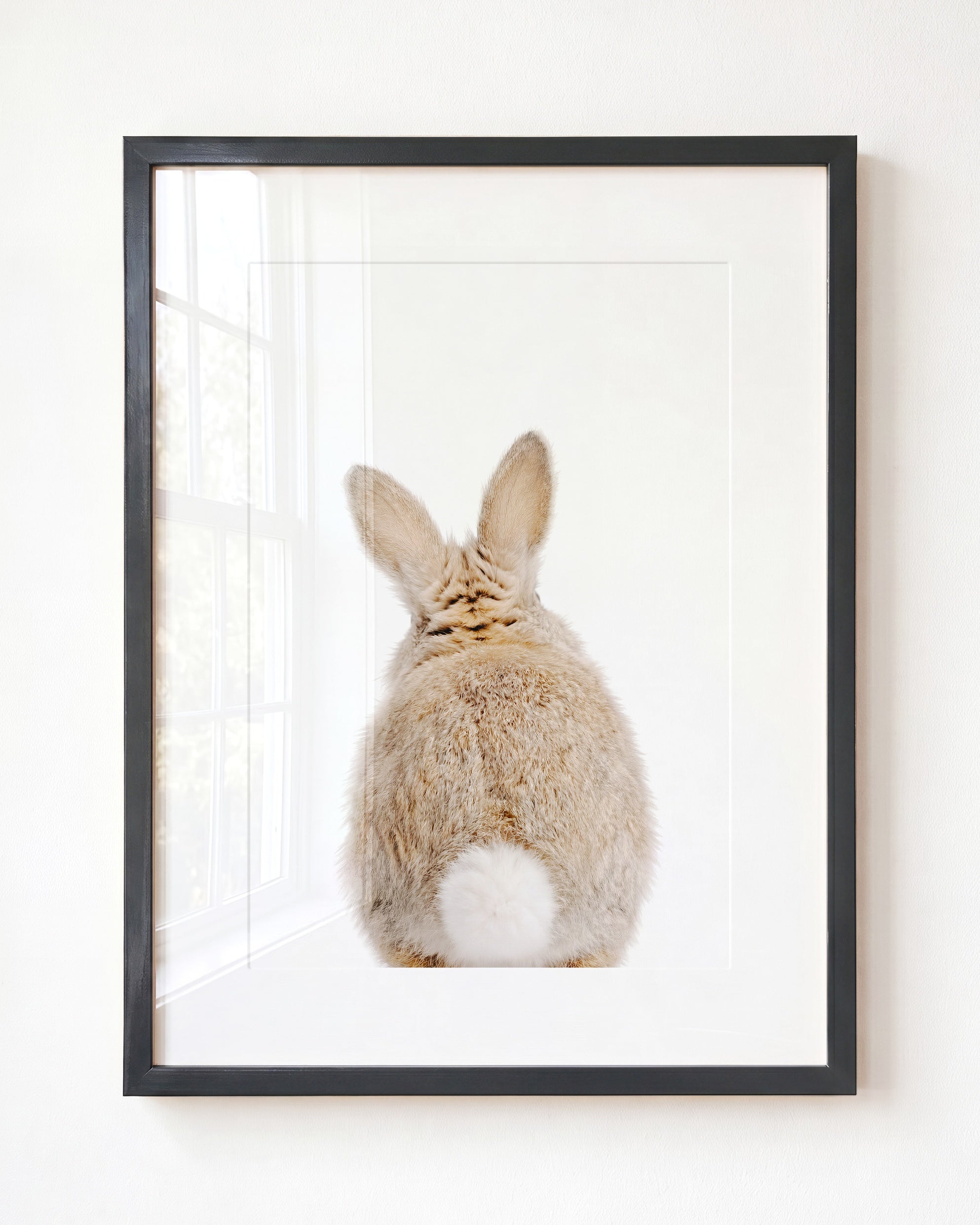 Baby Rabbit Bum