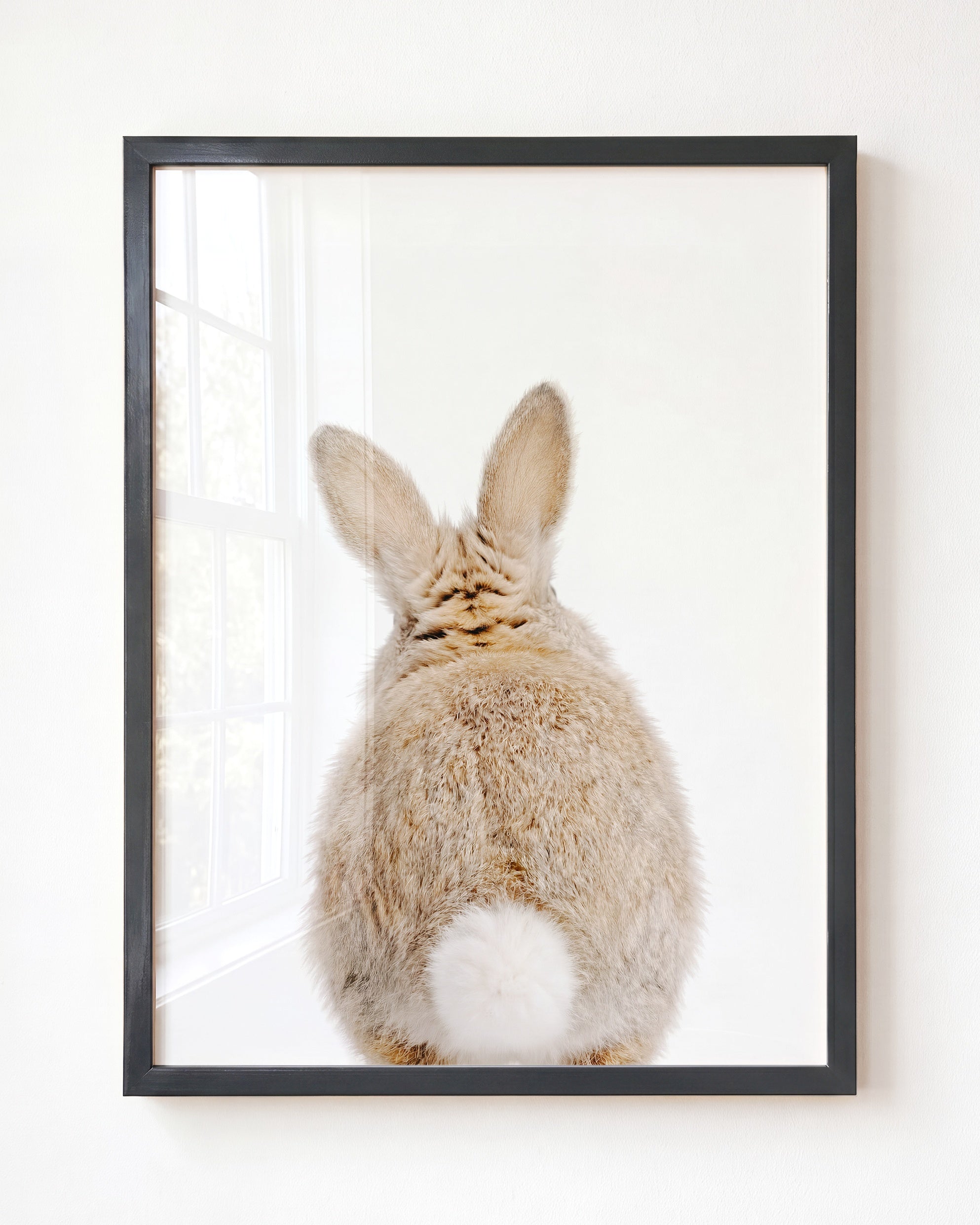 Baby Rabbit Bum