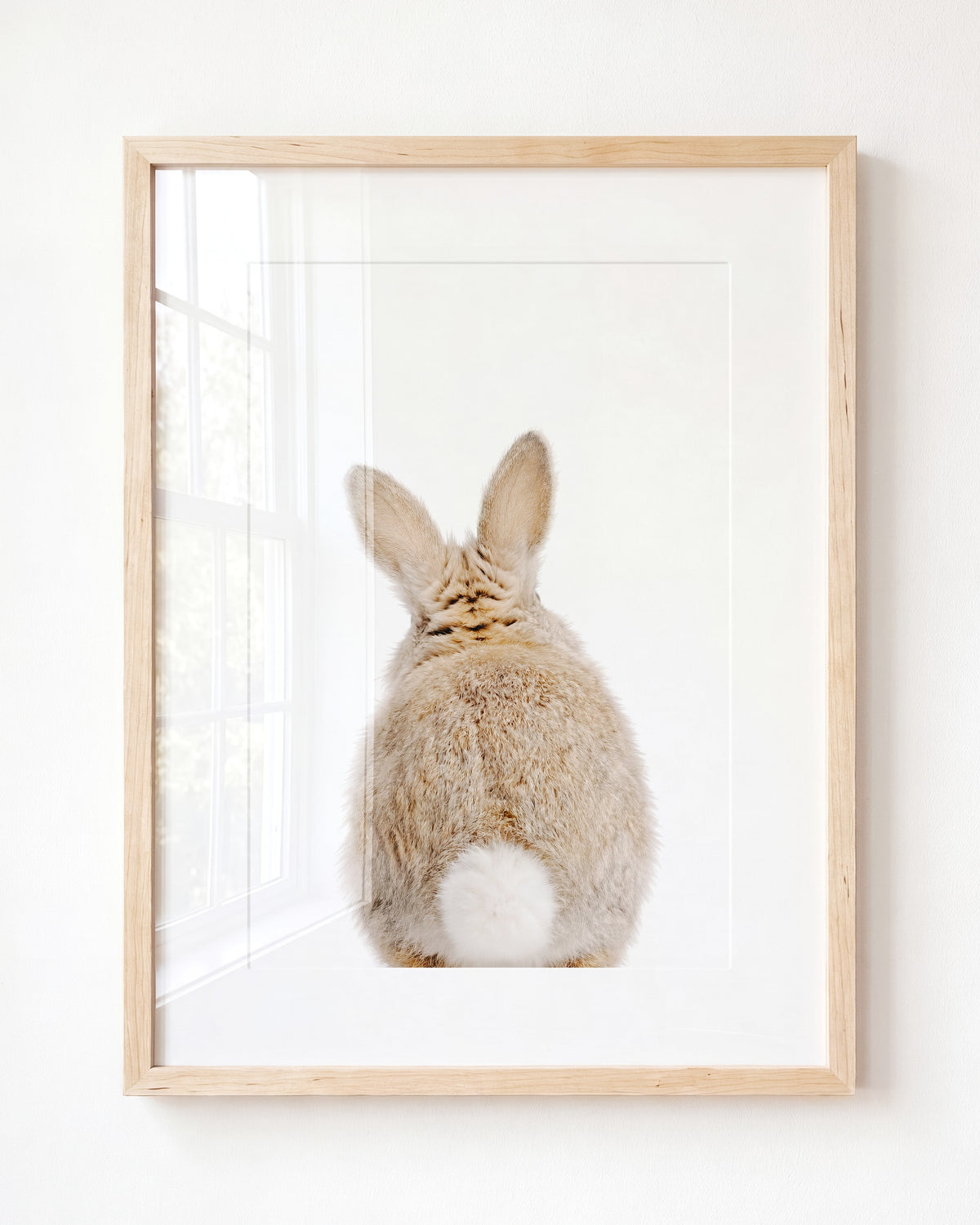 Baby Rabbit Bum