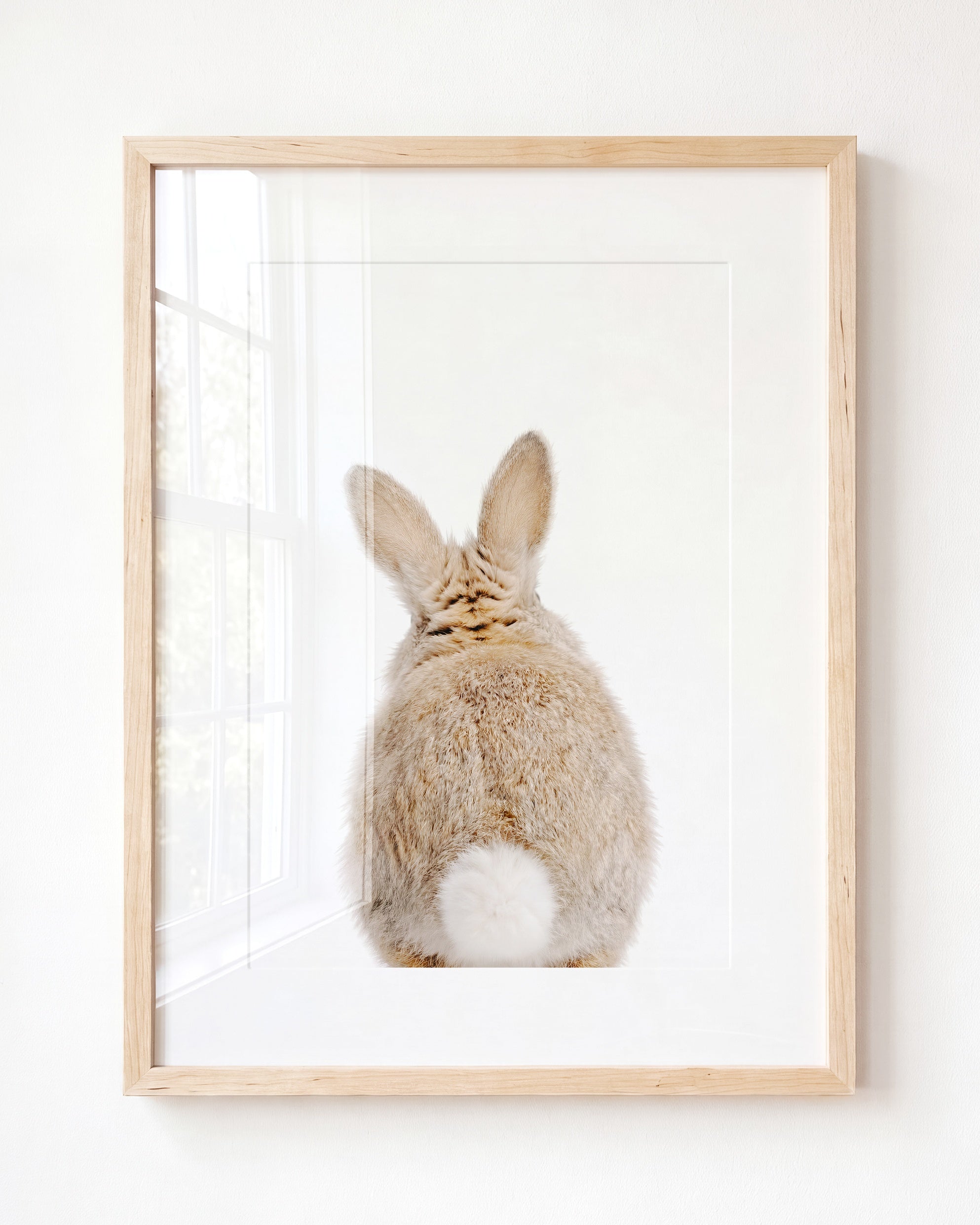 Baby Rabbit Bum