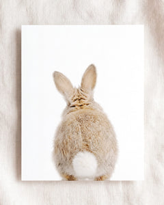 Baby Rabbit Bum