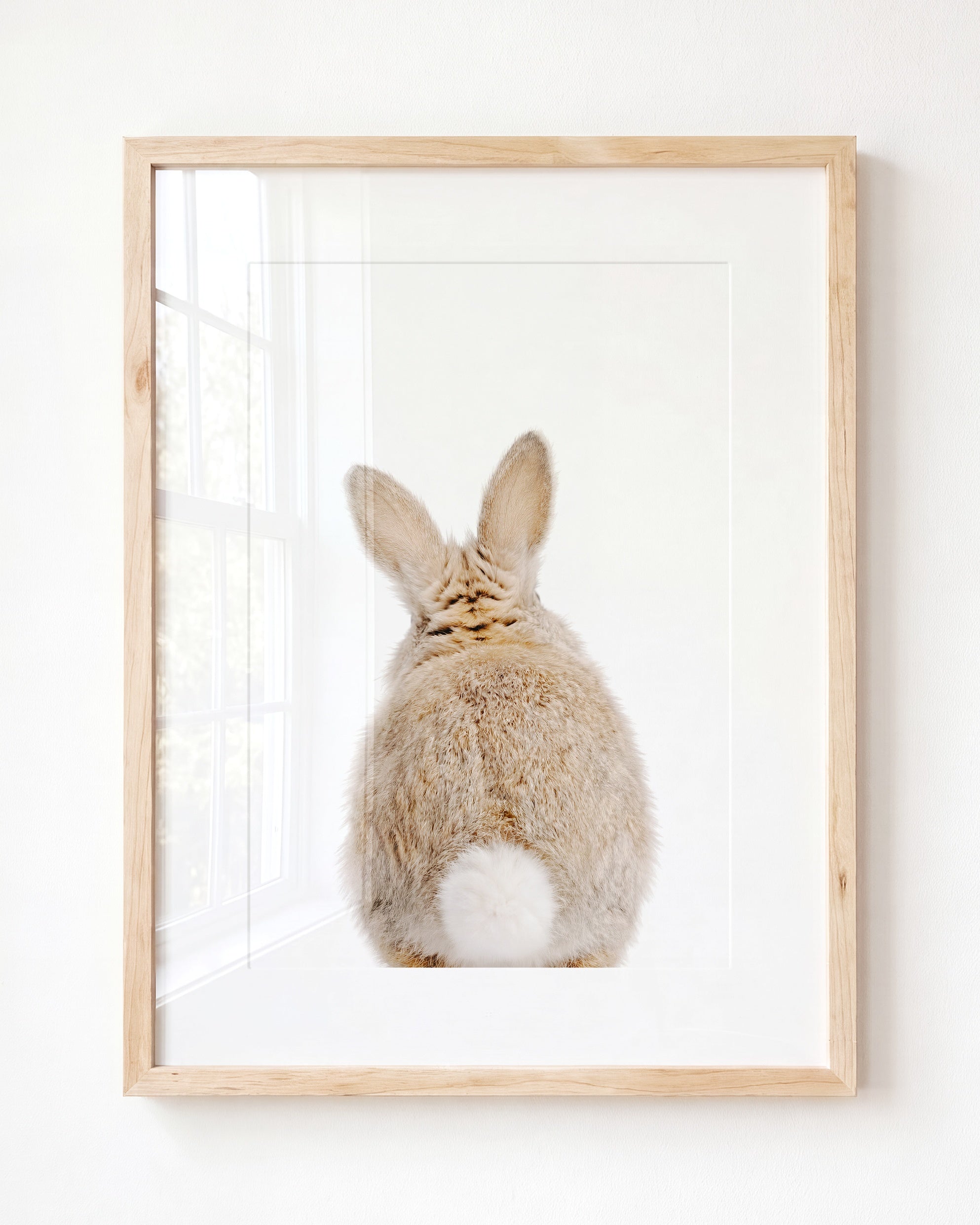Baby Rabbit Bum