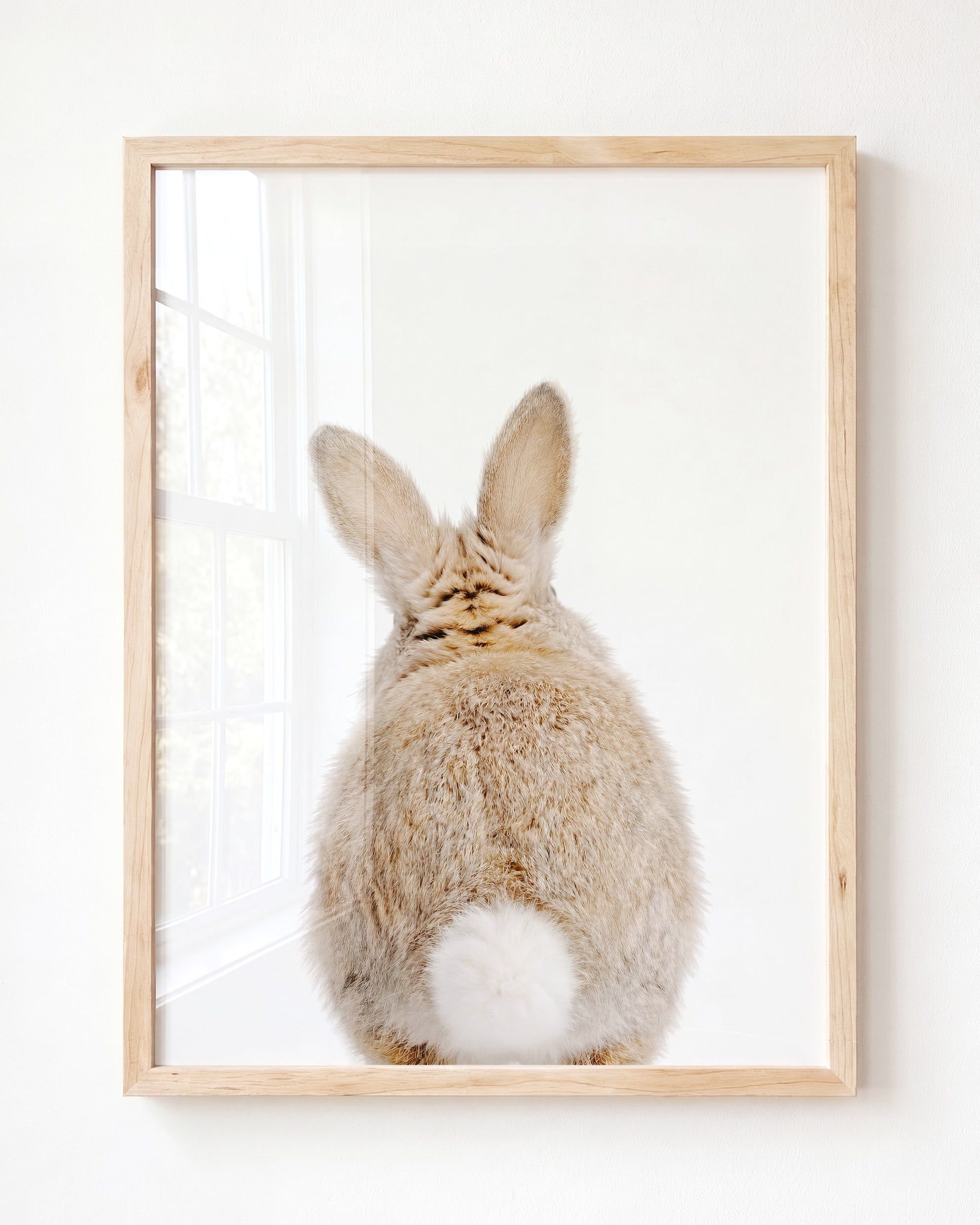 Baby Rabbit Bum