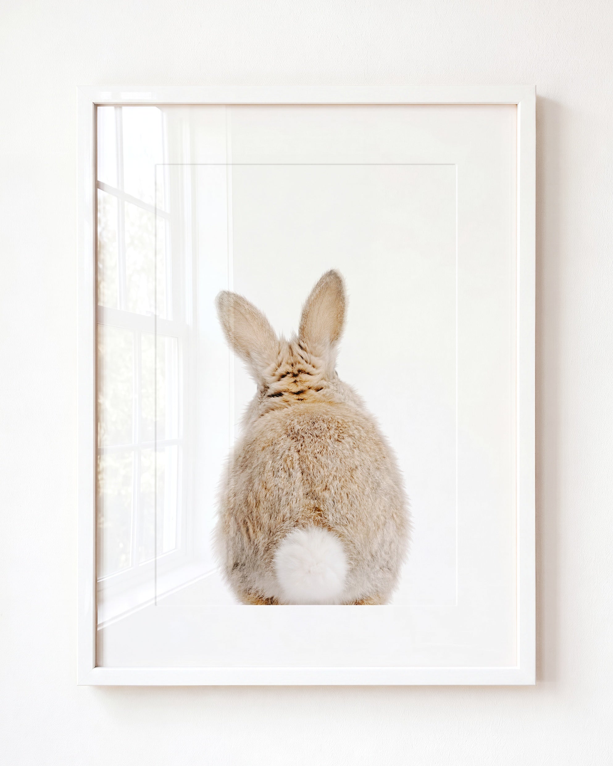 Baby Rabbit Bum