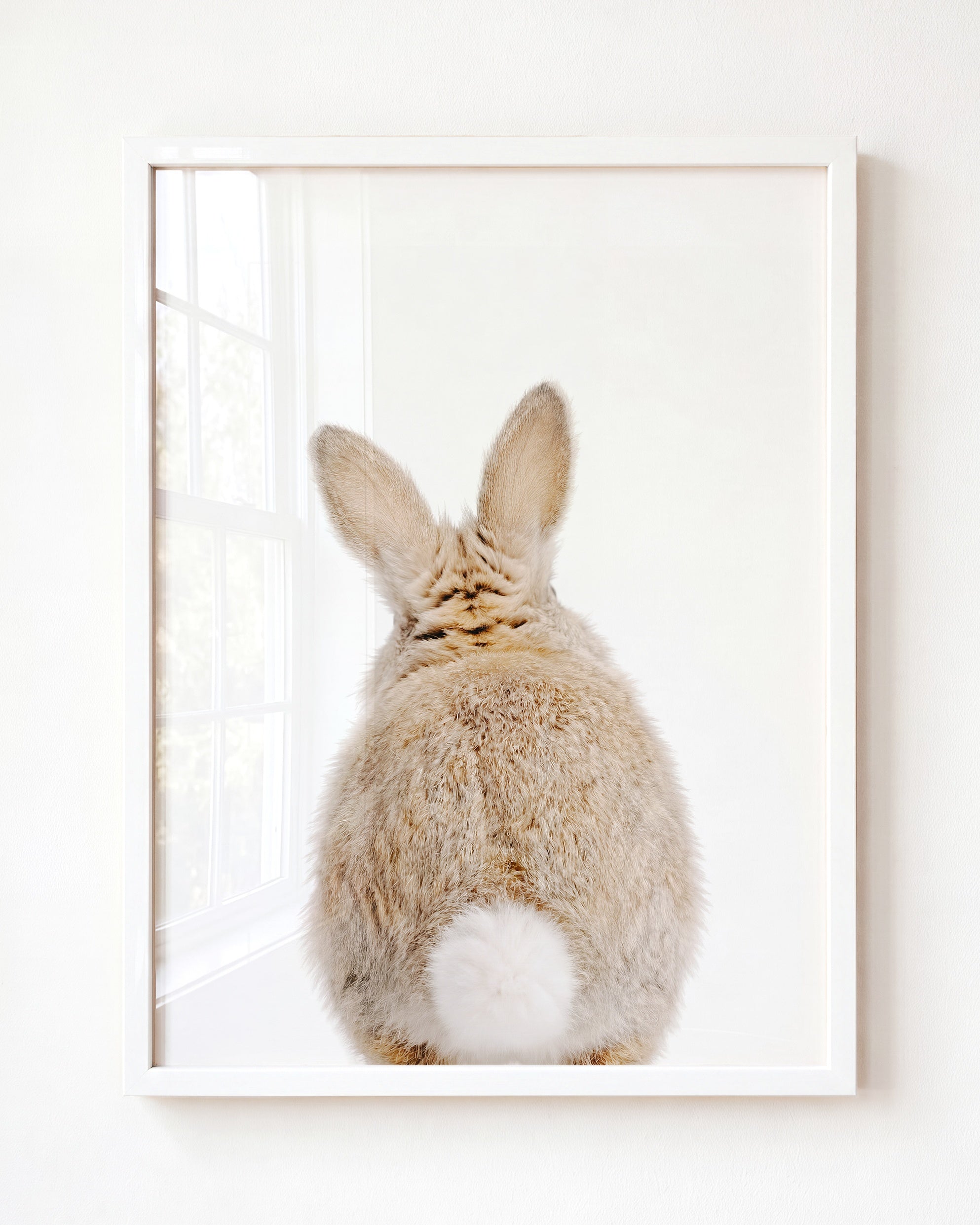 Baby Rabbit Bum