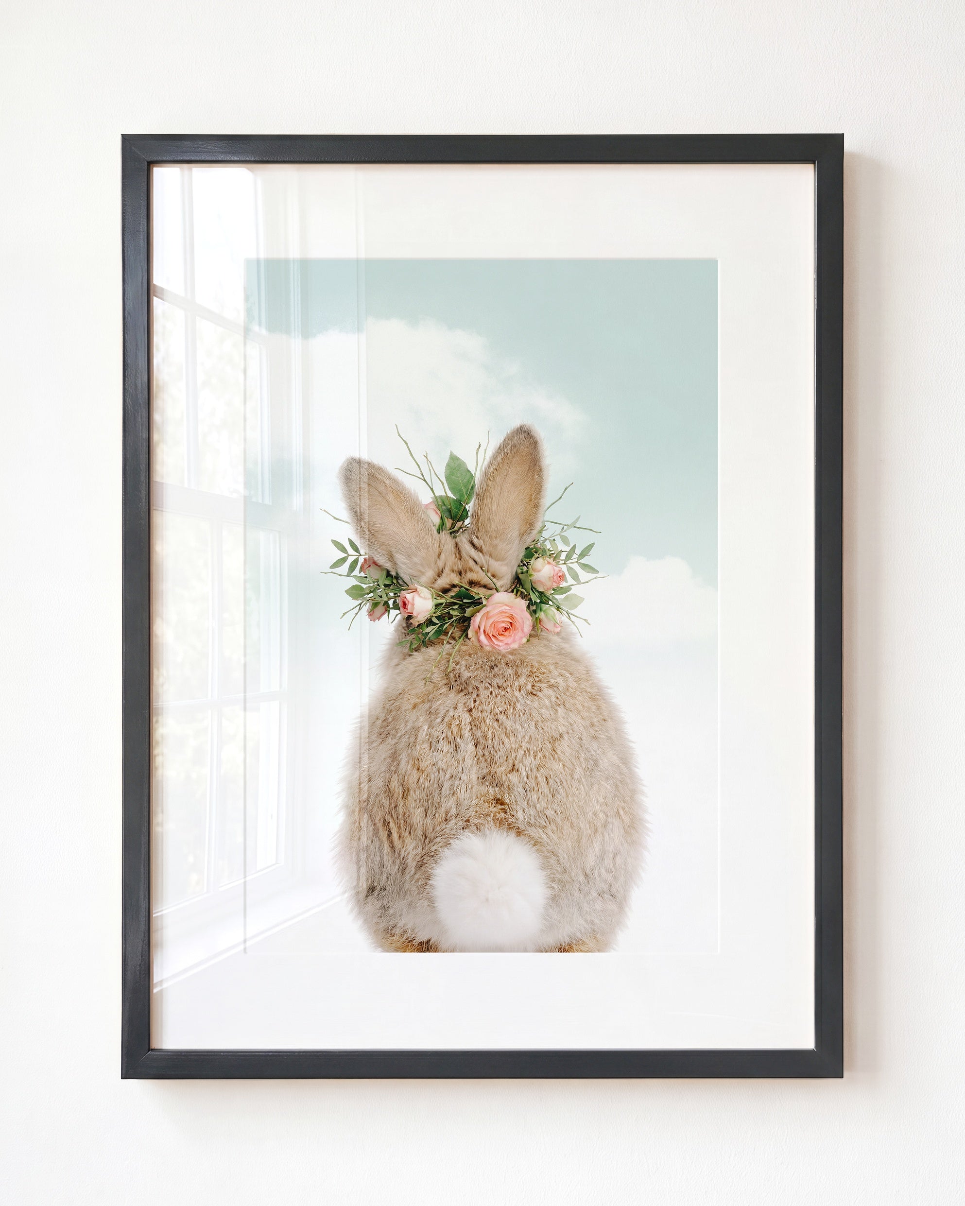 Baby Rabbit Bum