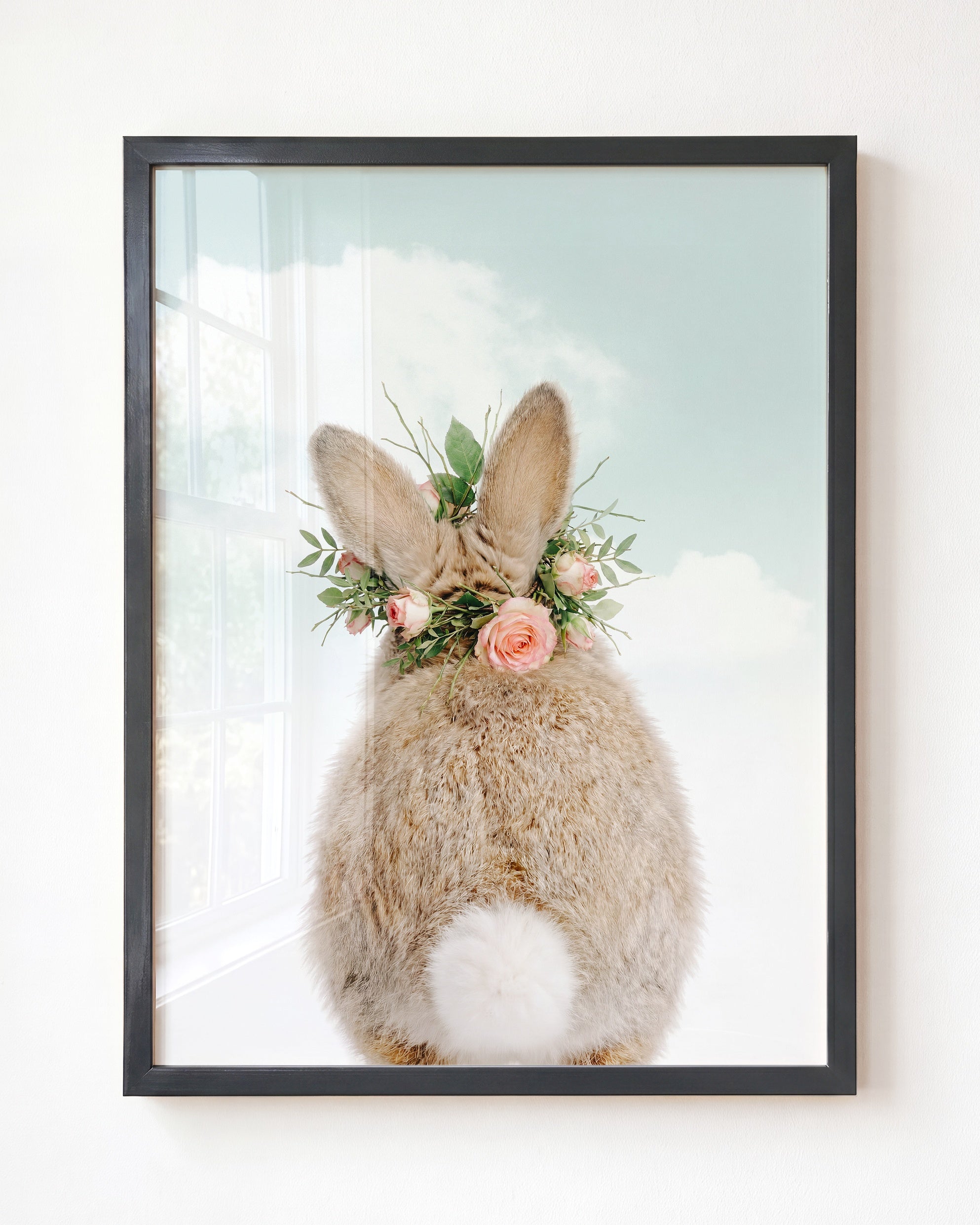 Baby Rabbit Bum