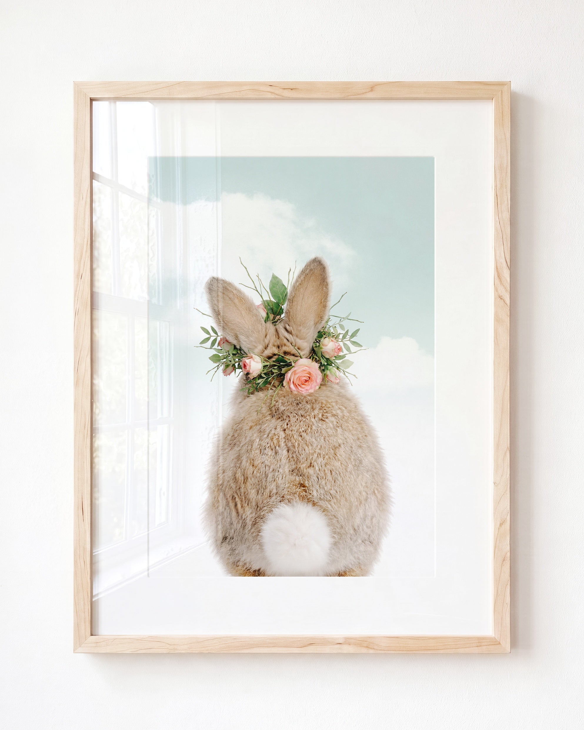 Baby Rabbit Bum