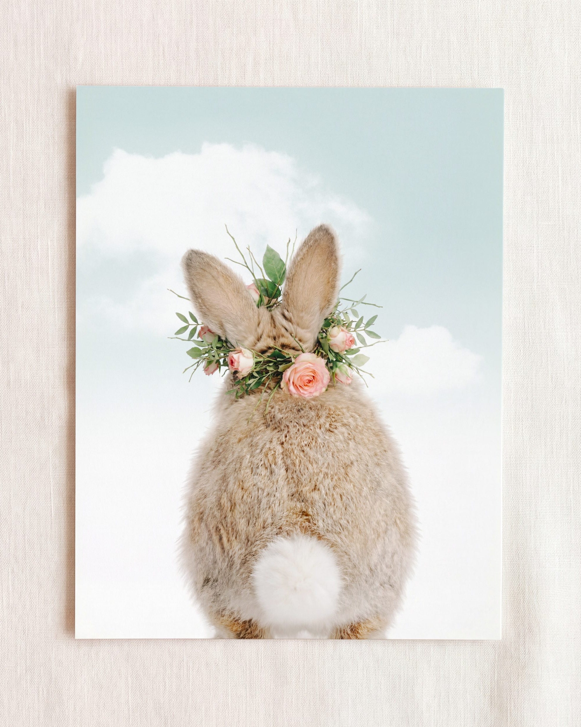 Baby Rabbit Bum