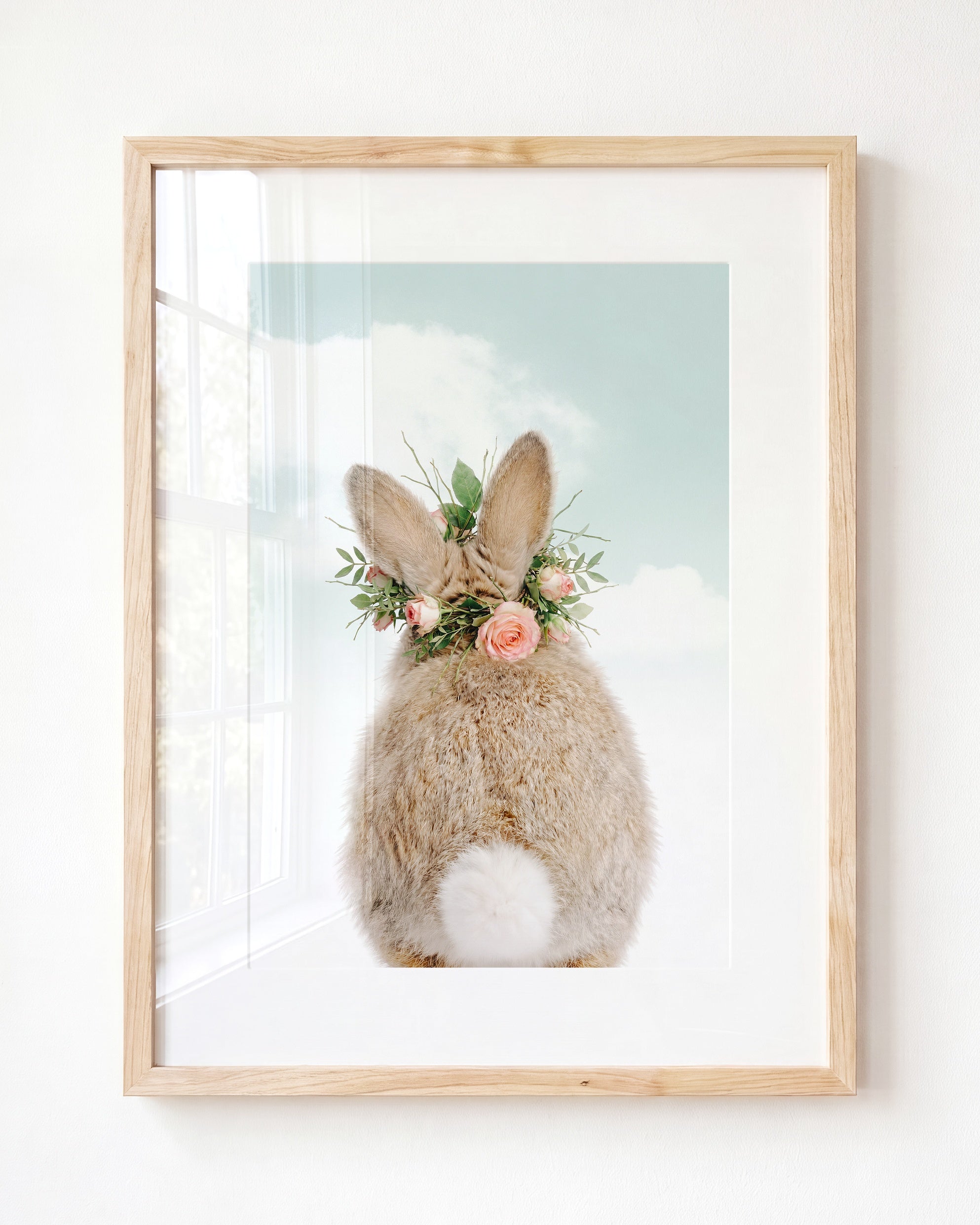 Baby Rabbit Bum