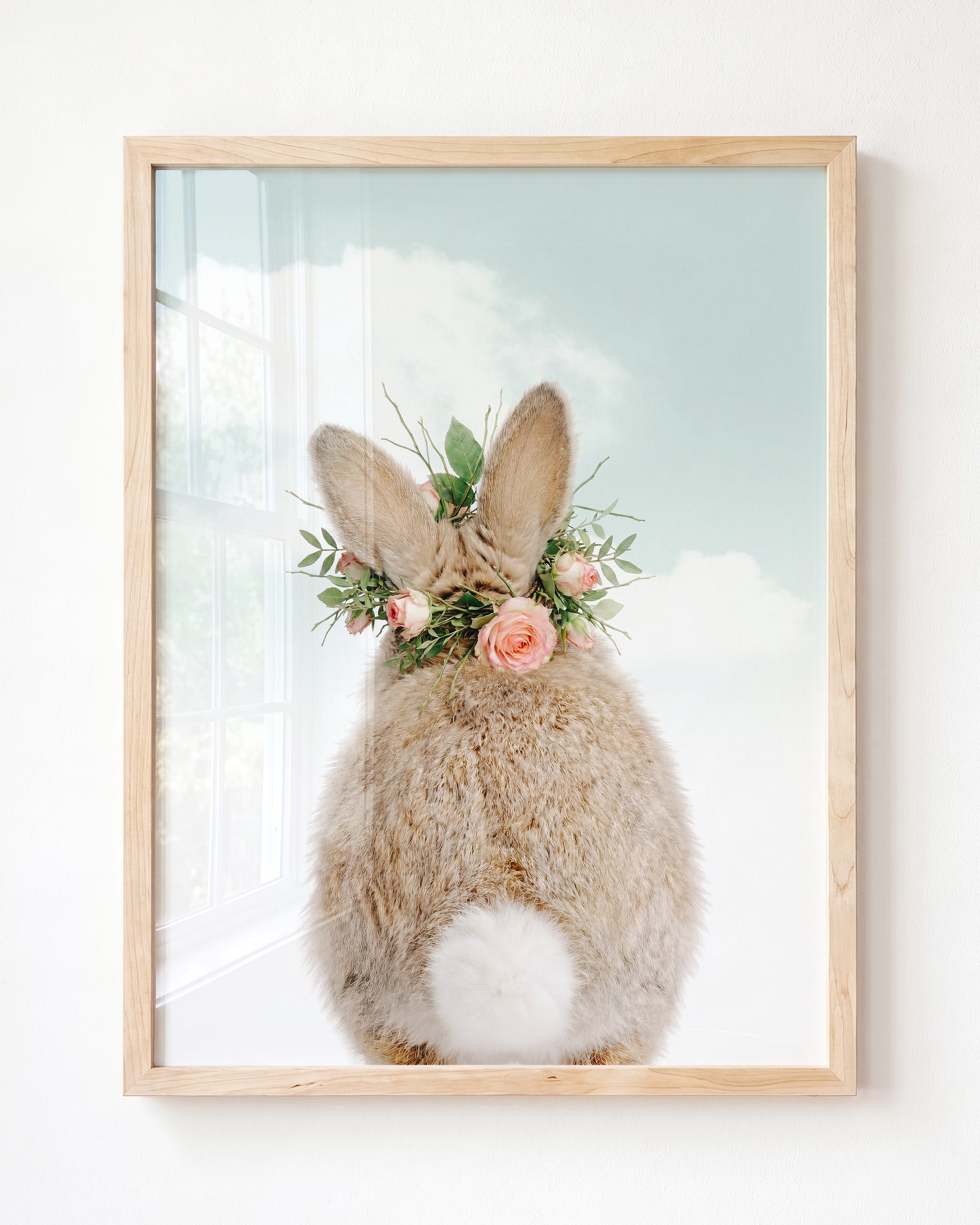 Baby Rabbit Bum