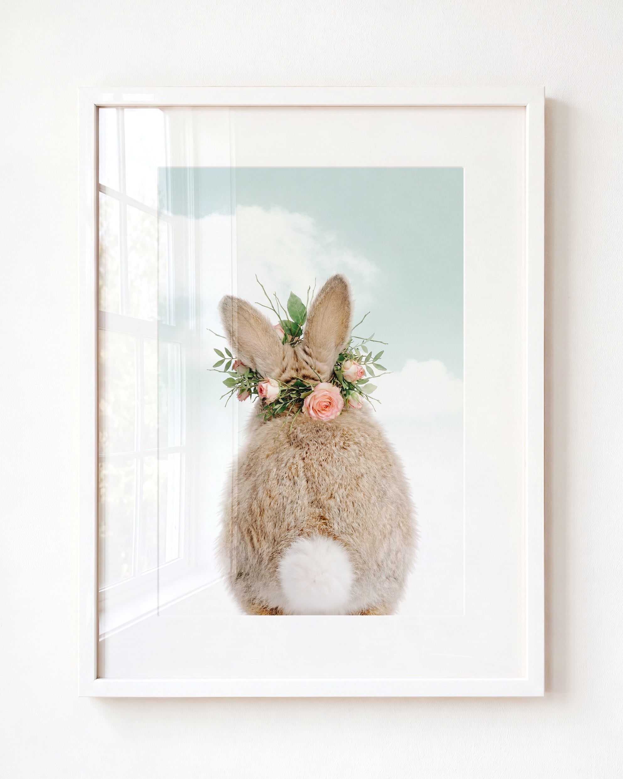 Baby Rabbit Bum