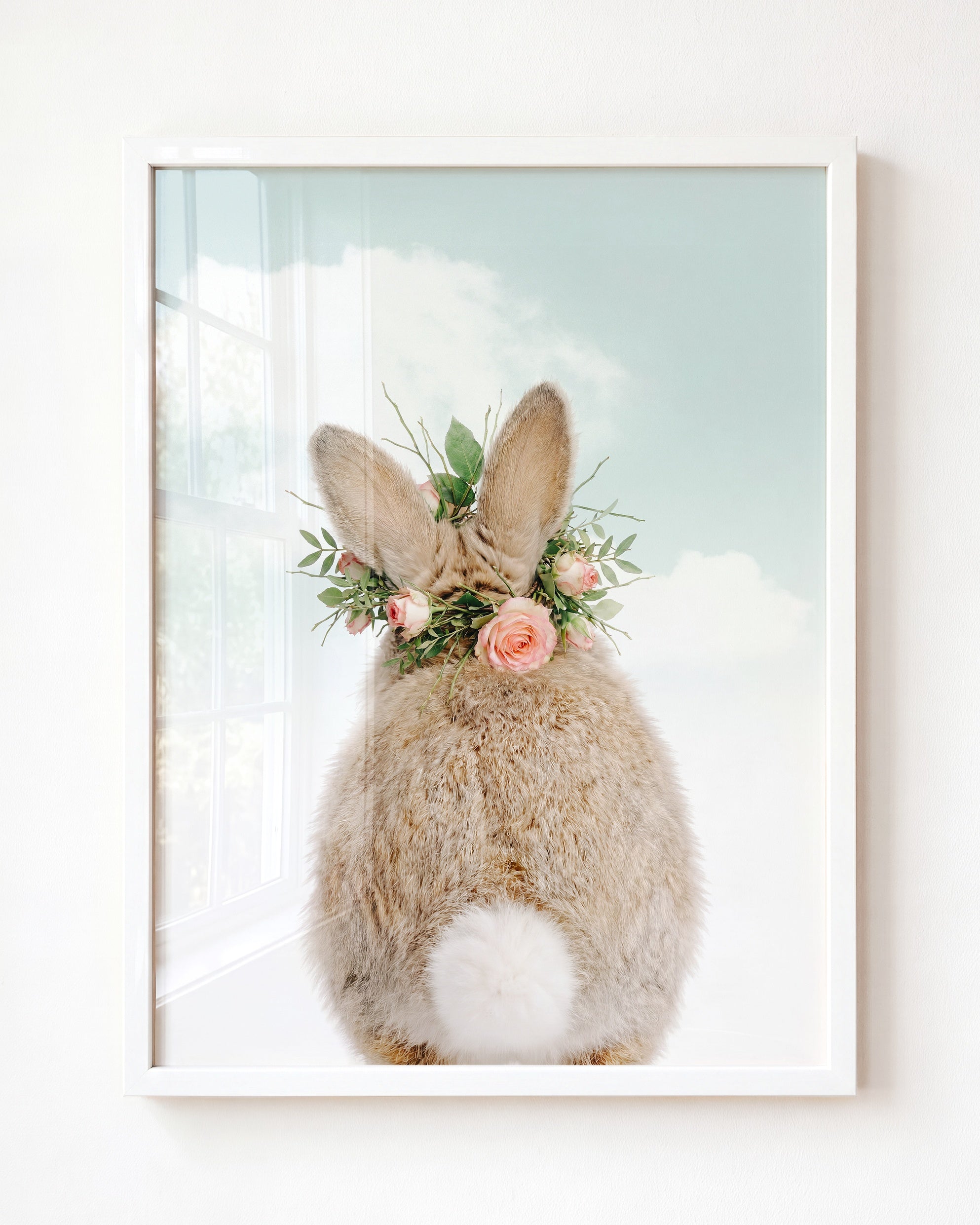 Baby Rabbit Bum