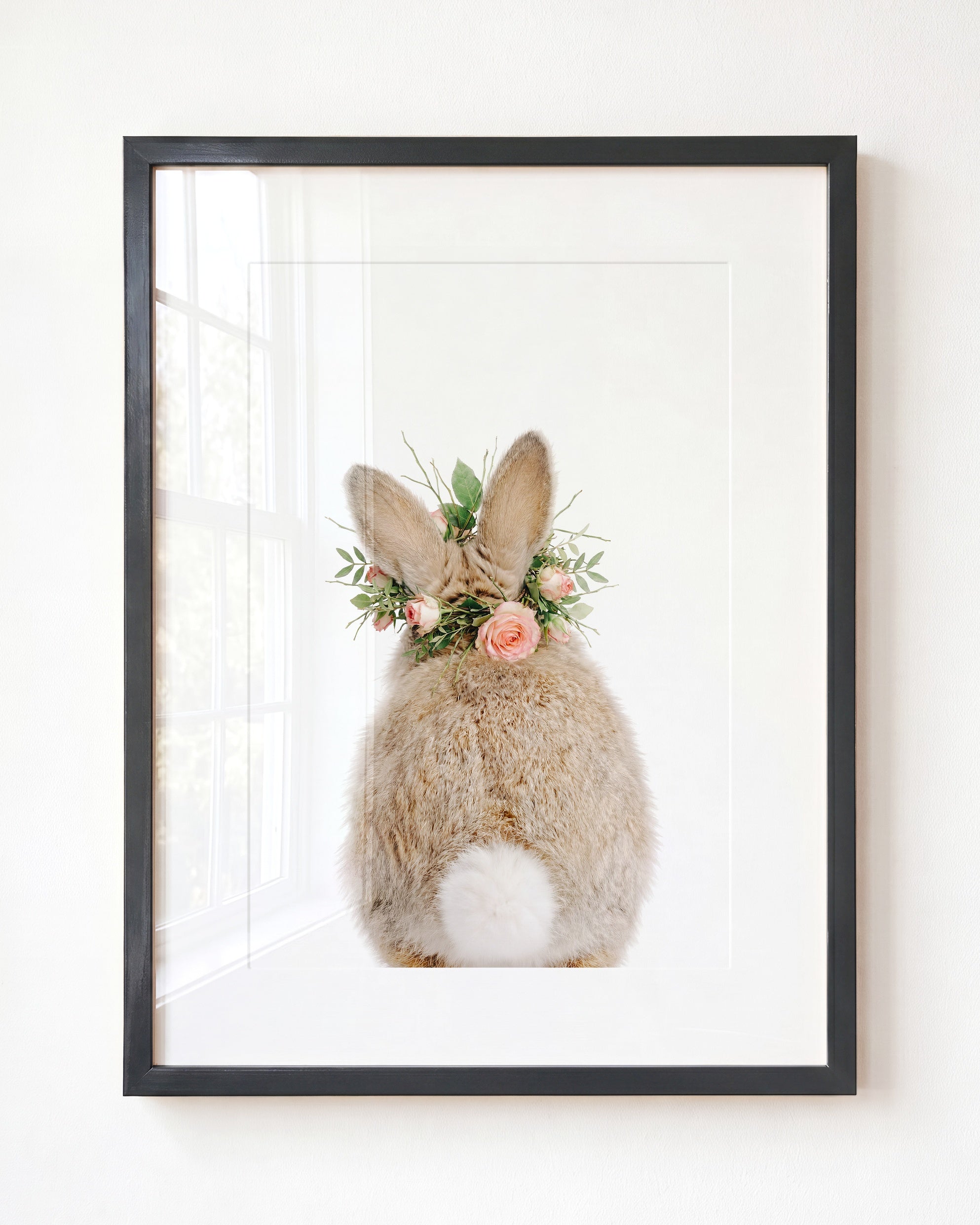 Baby Rabbit Bum