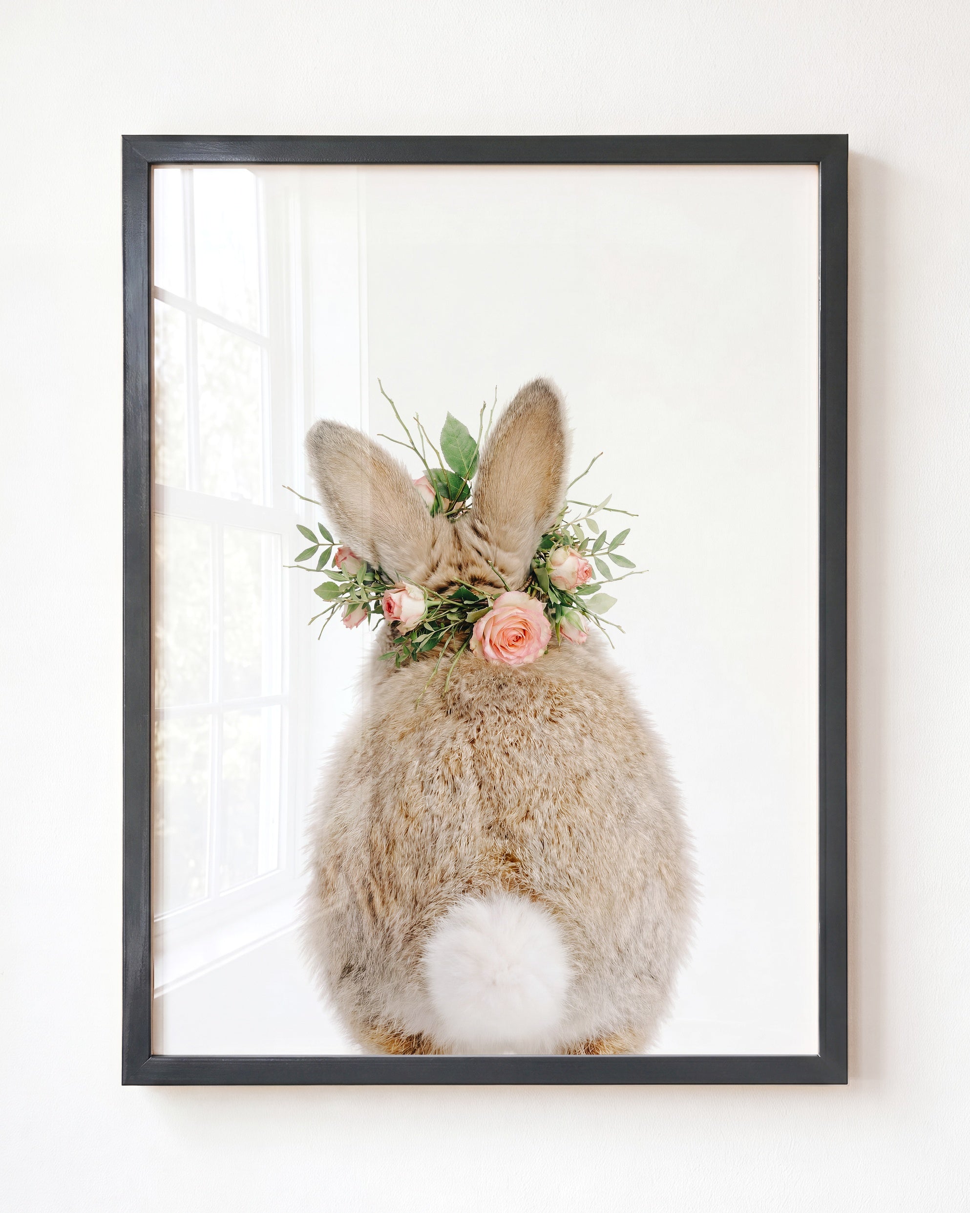 Baby Rabbit Bum
