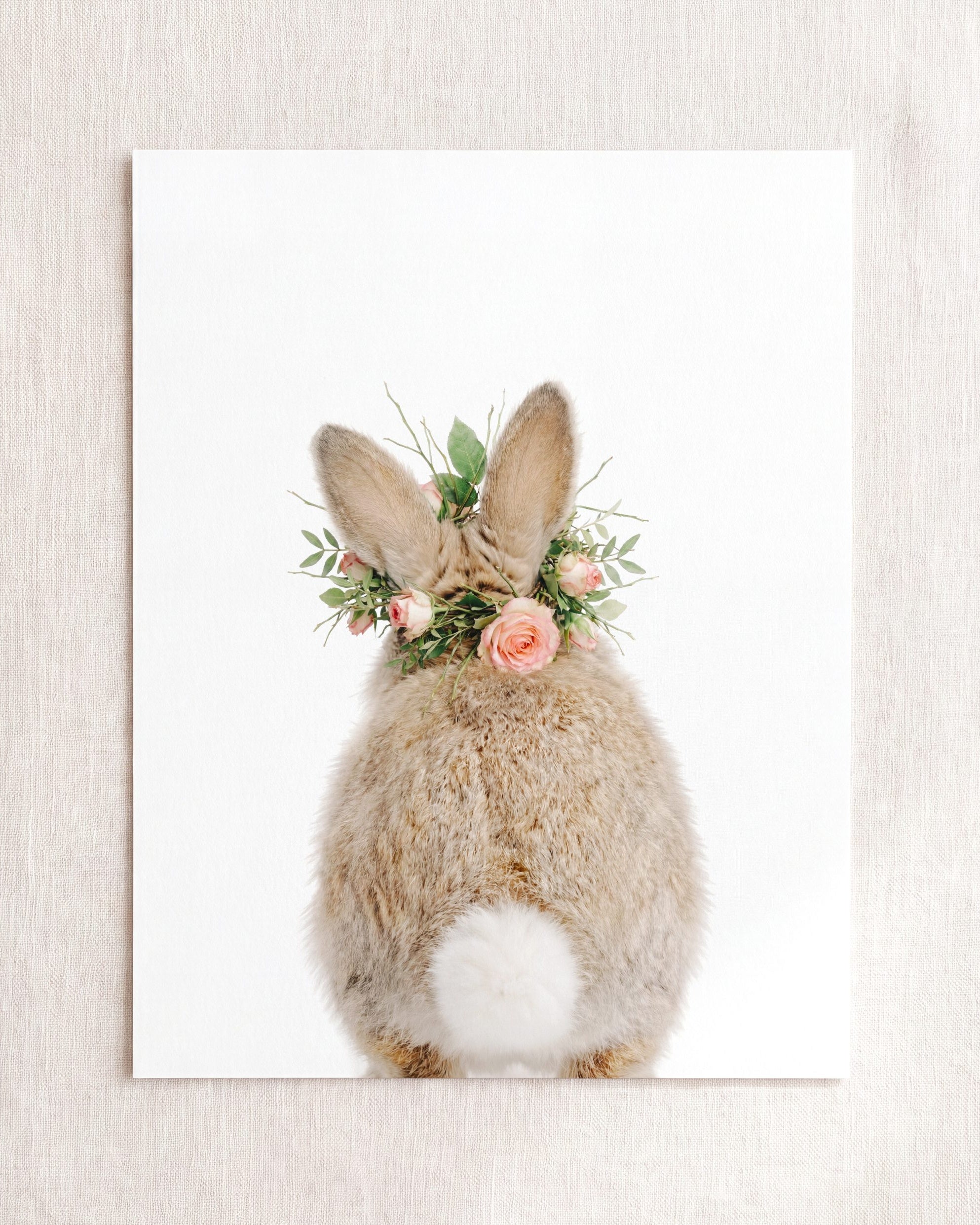 Baby Rabbit Bum