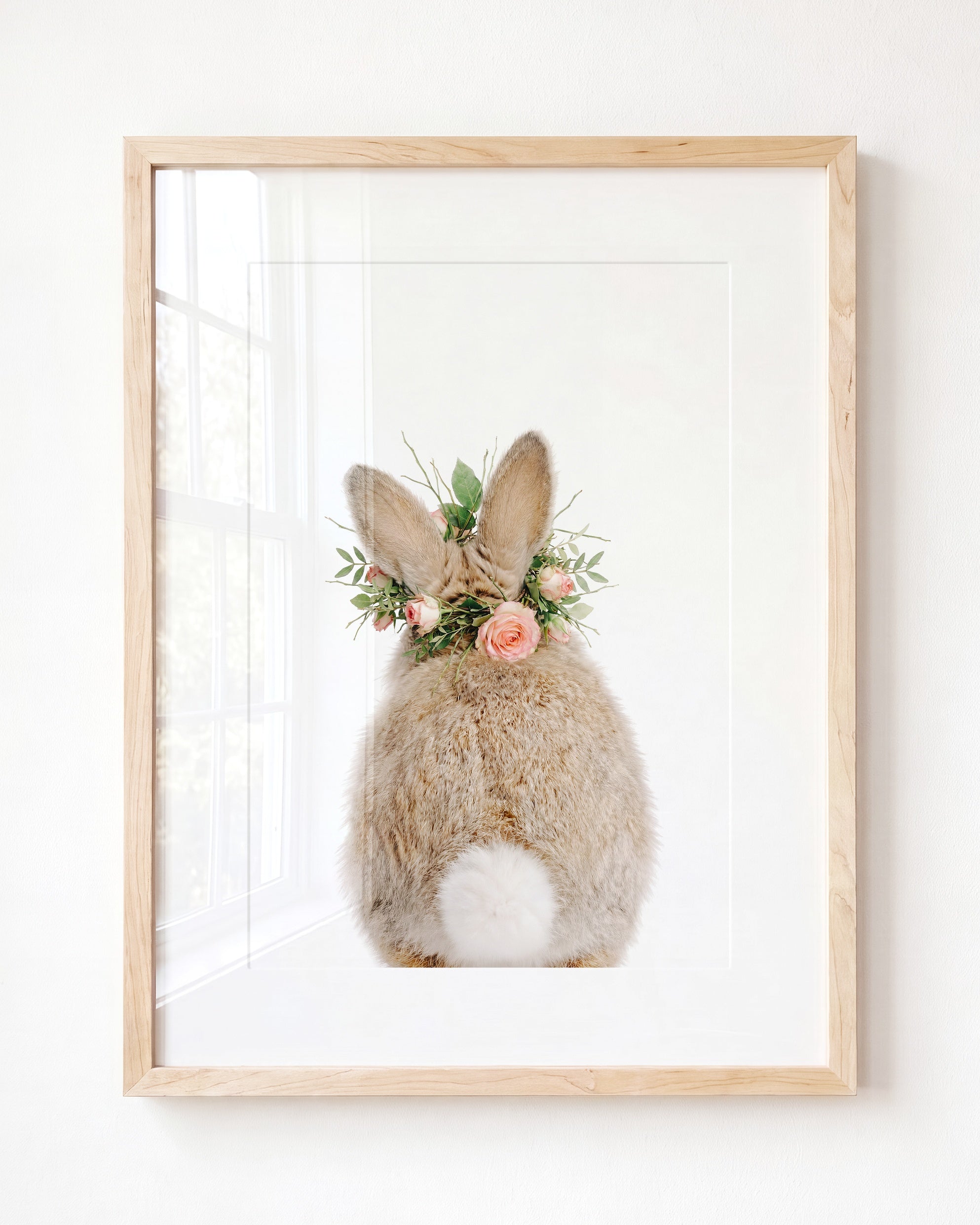 Baby Rabbit Bum