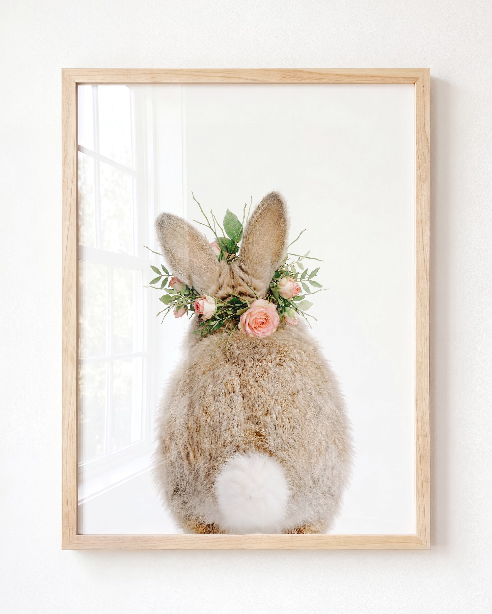 Baby Rabbit Bum