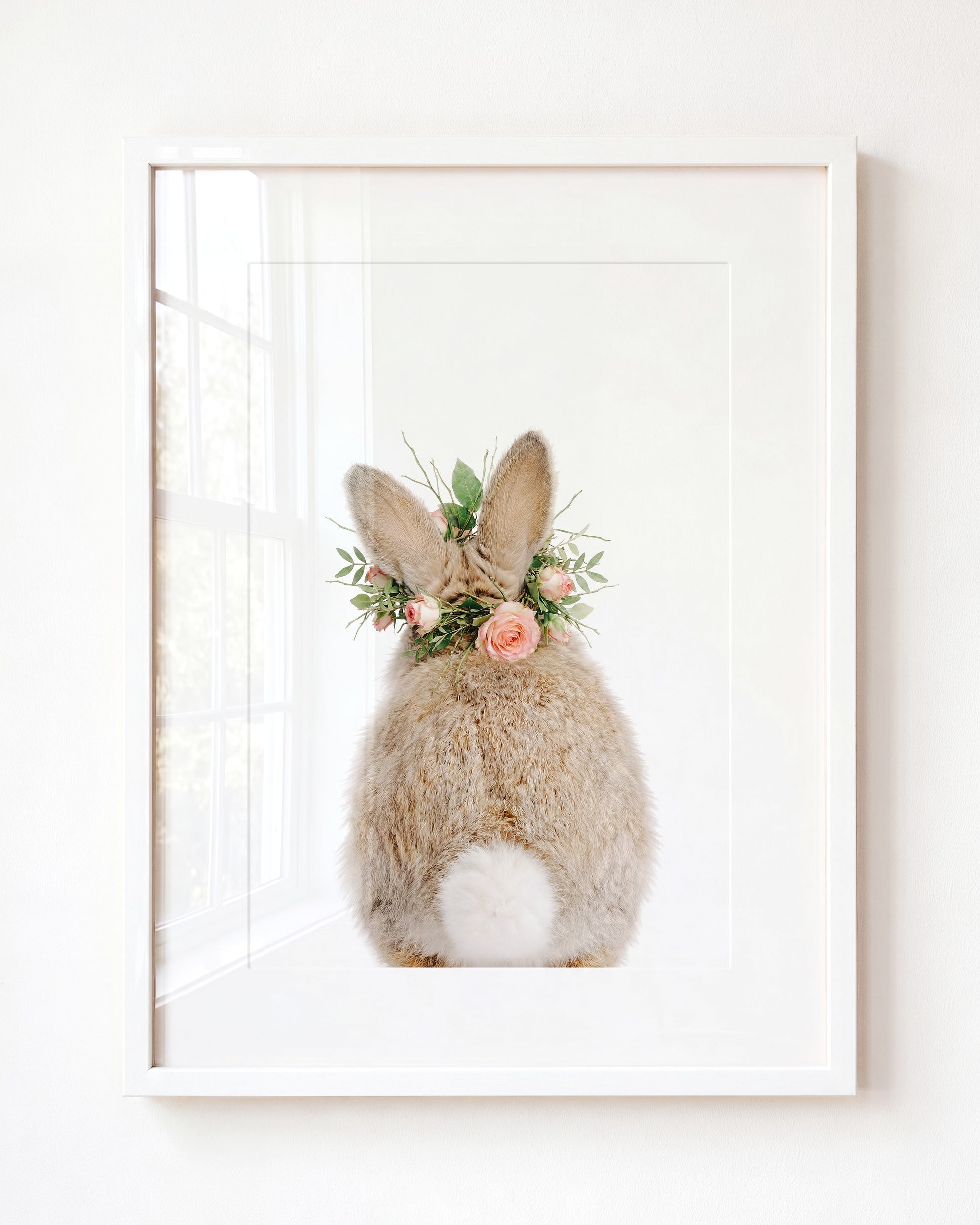 Baby Rabbit Bum