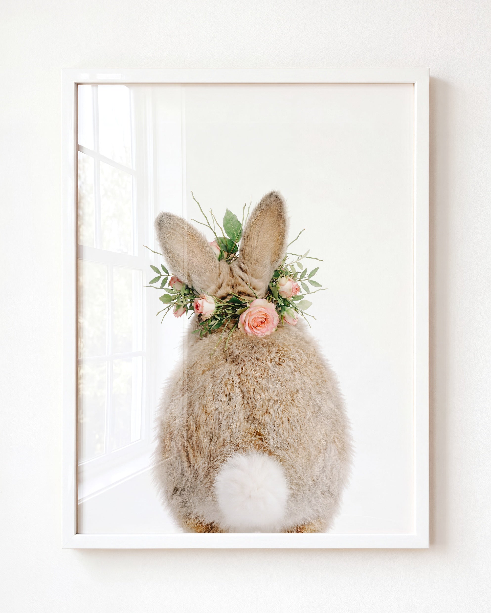 Baby Rabbit Bum