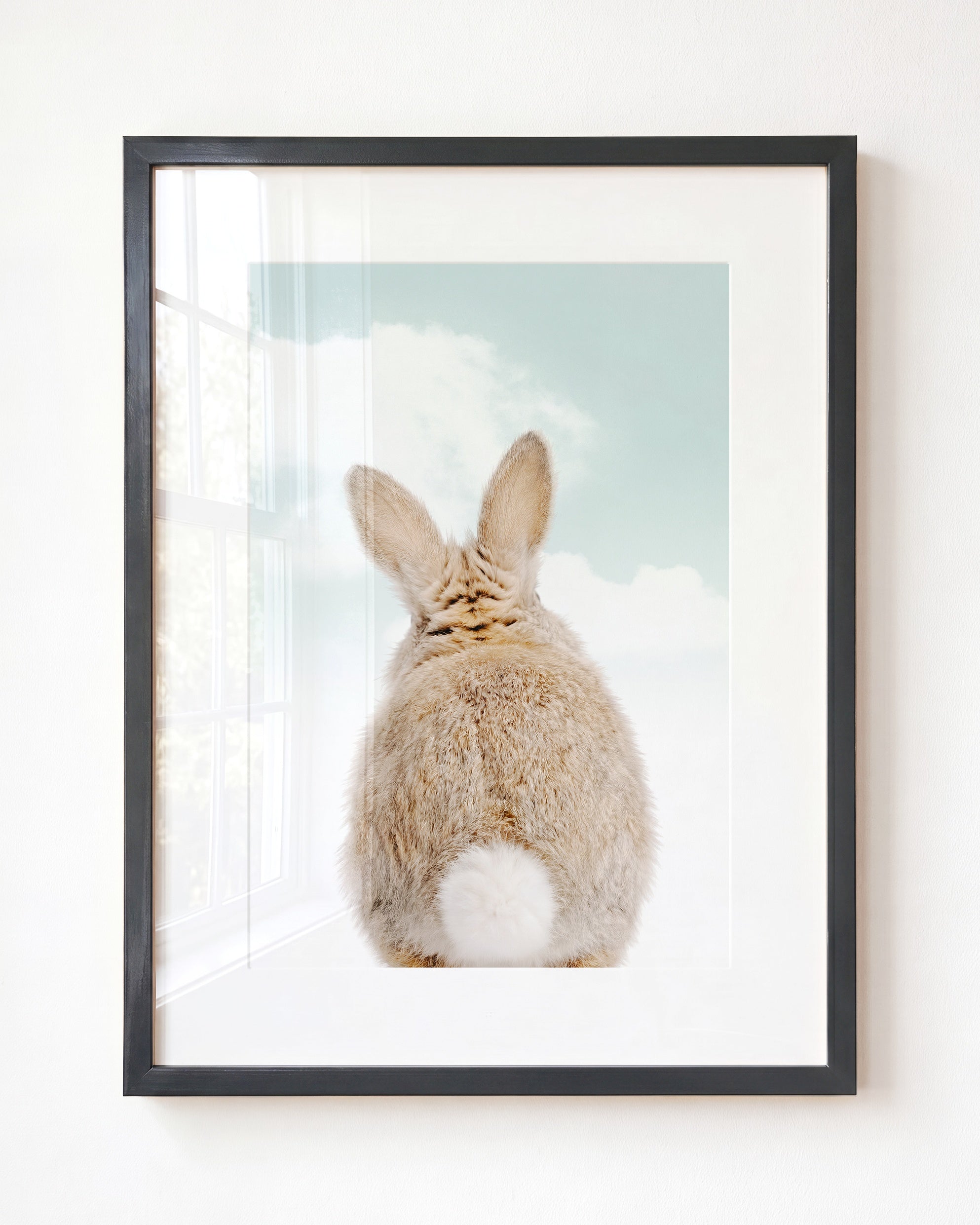 Baby Rabbit Bum