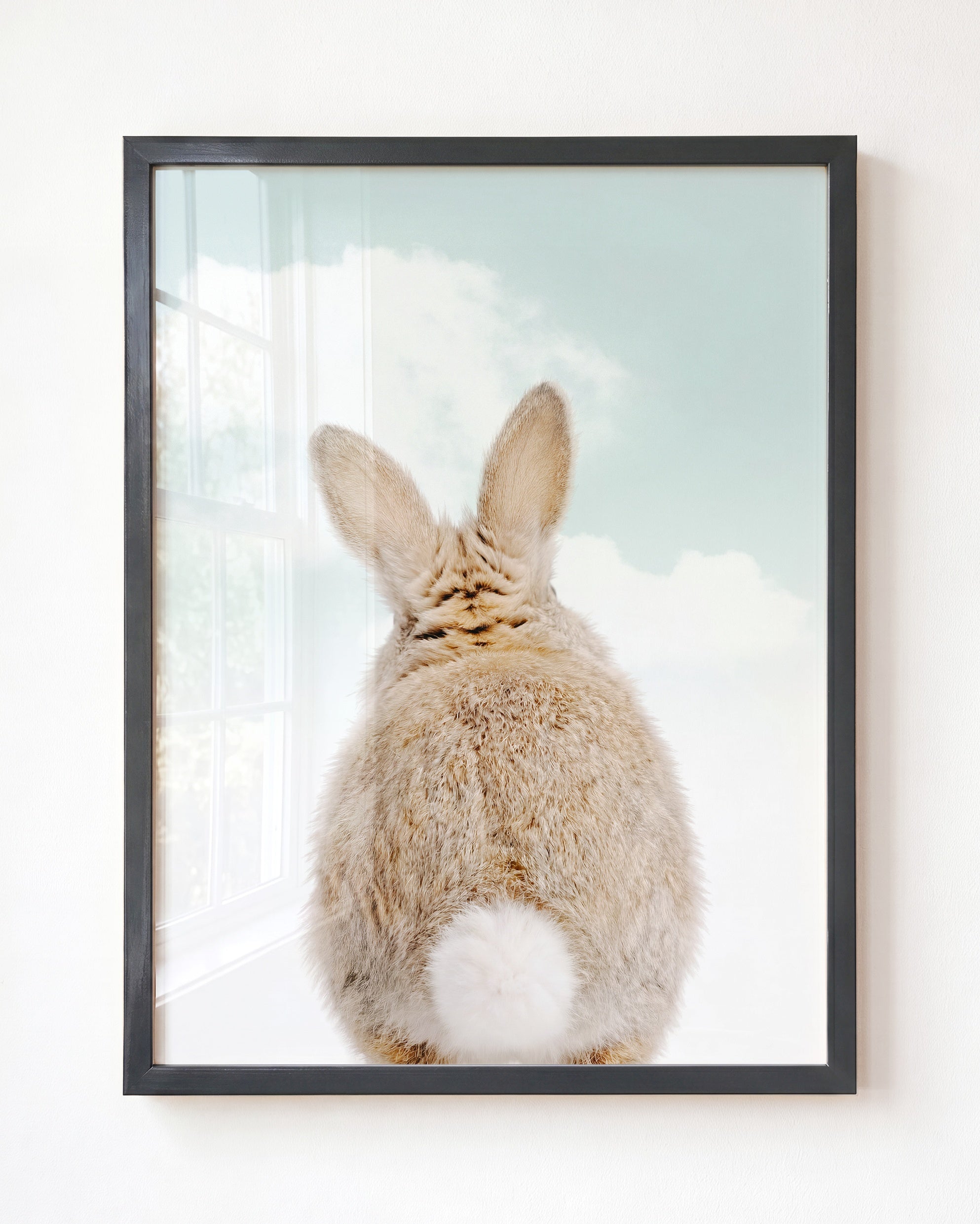 Baby Rabbit Bum
