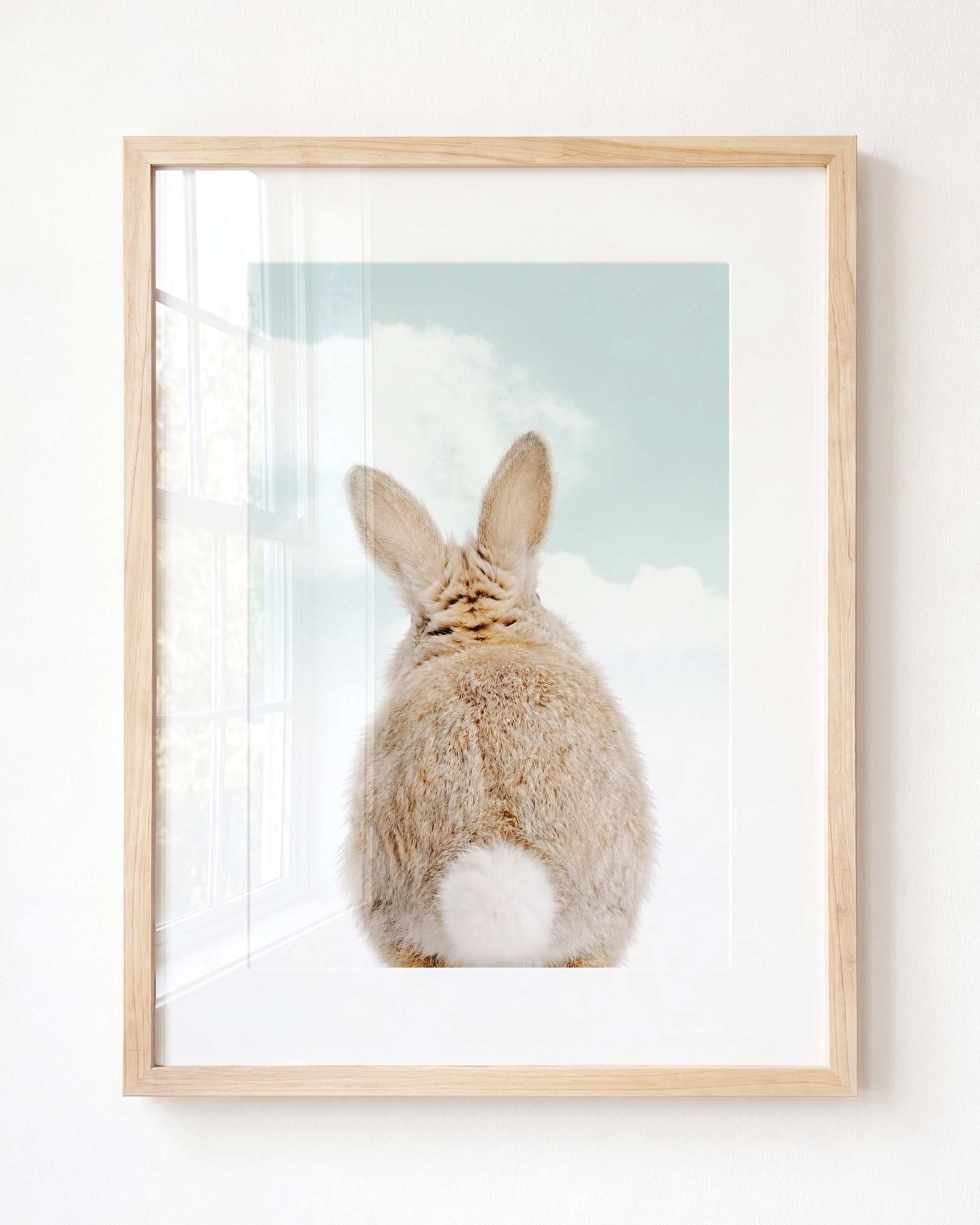 Baby Rabbit Bum