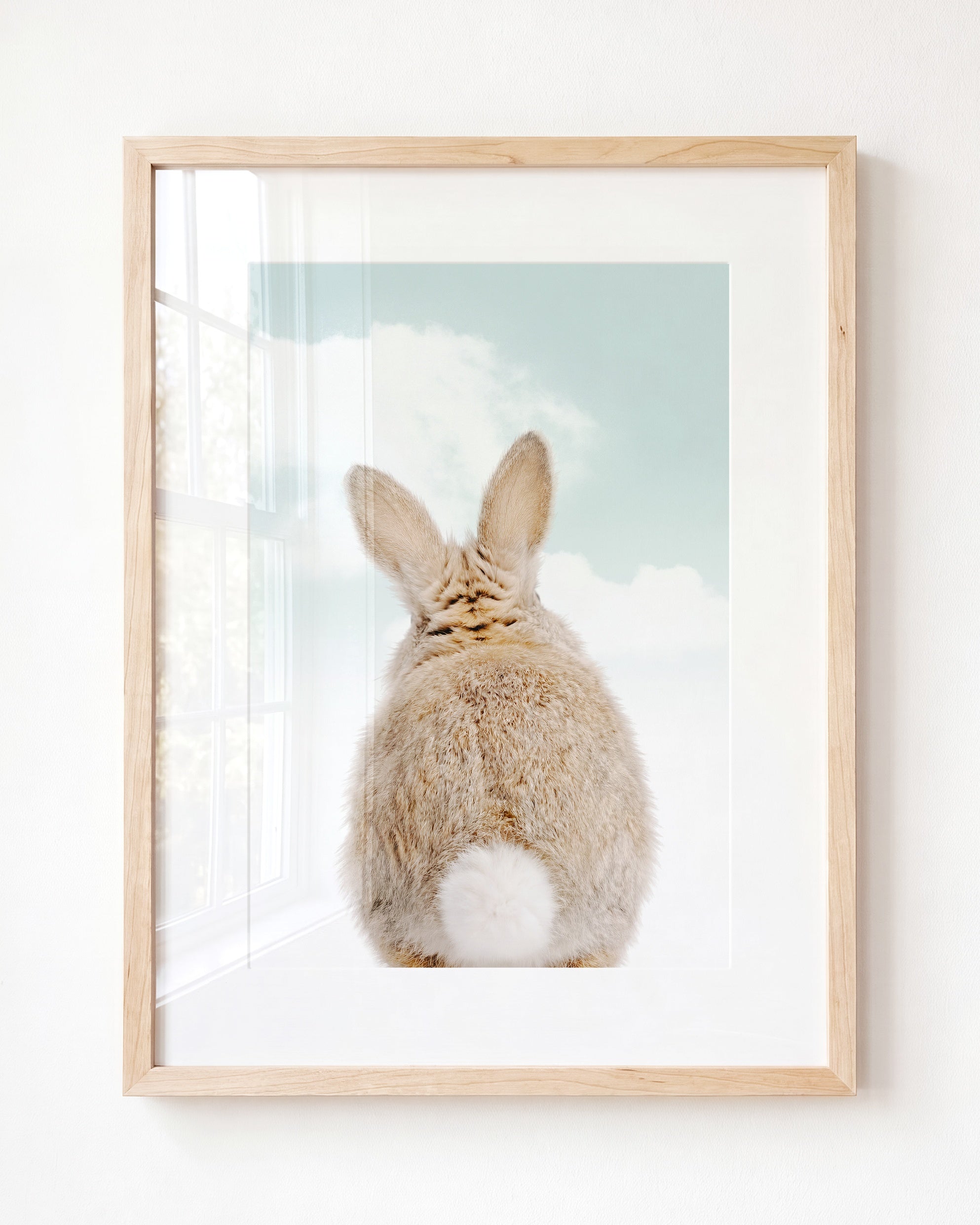 Baby Rabbit Bum