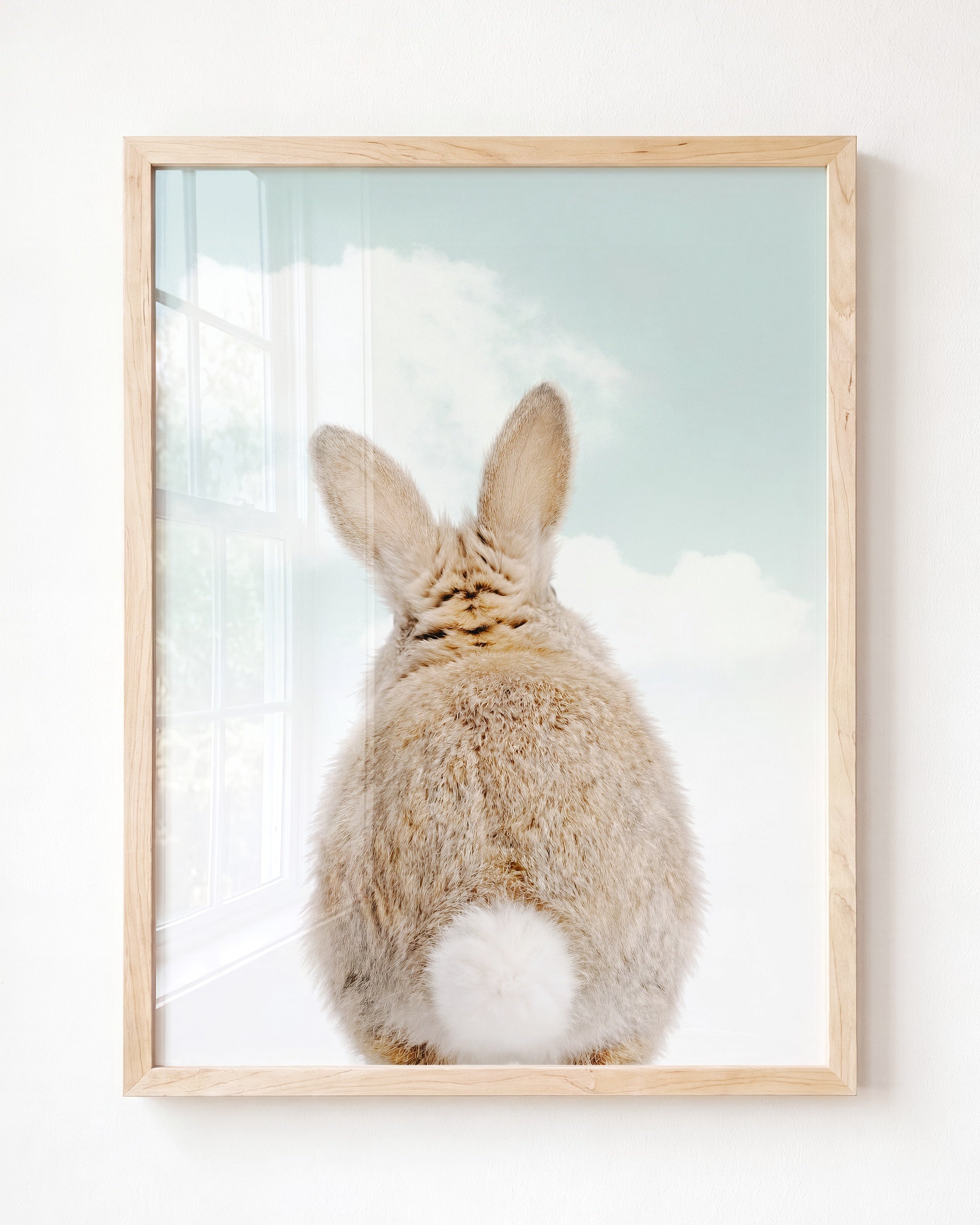Baby Rabbit Bum