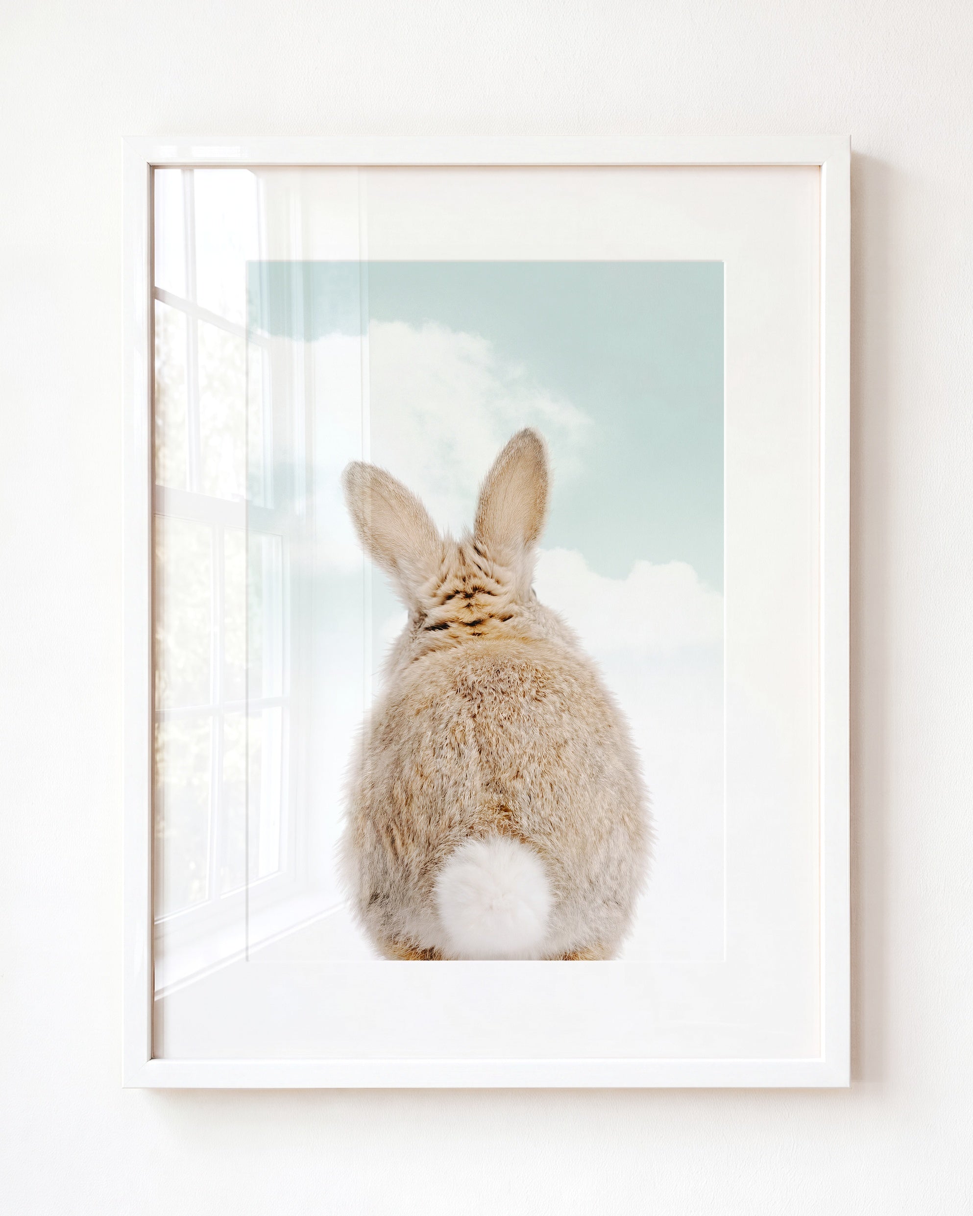 Baby Rabbit Bum