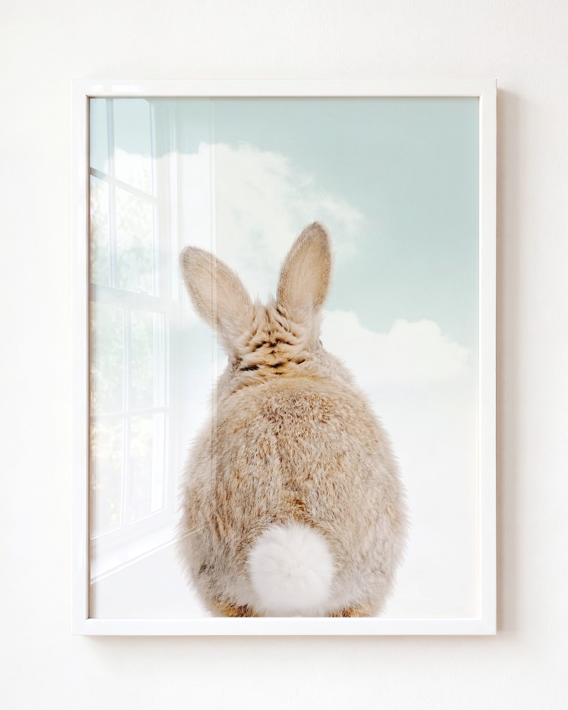 Baby Rabbit Bum