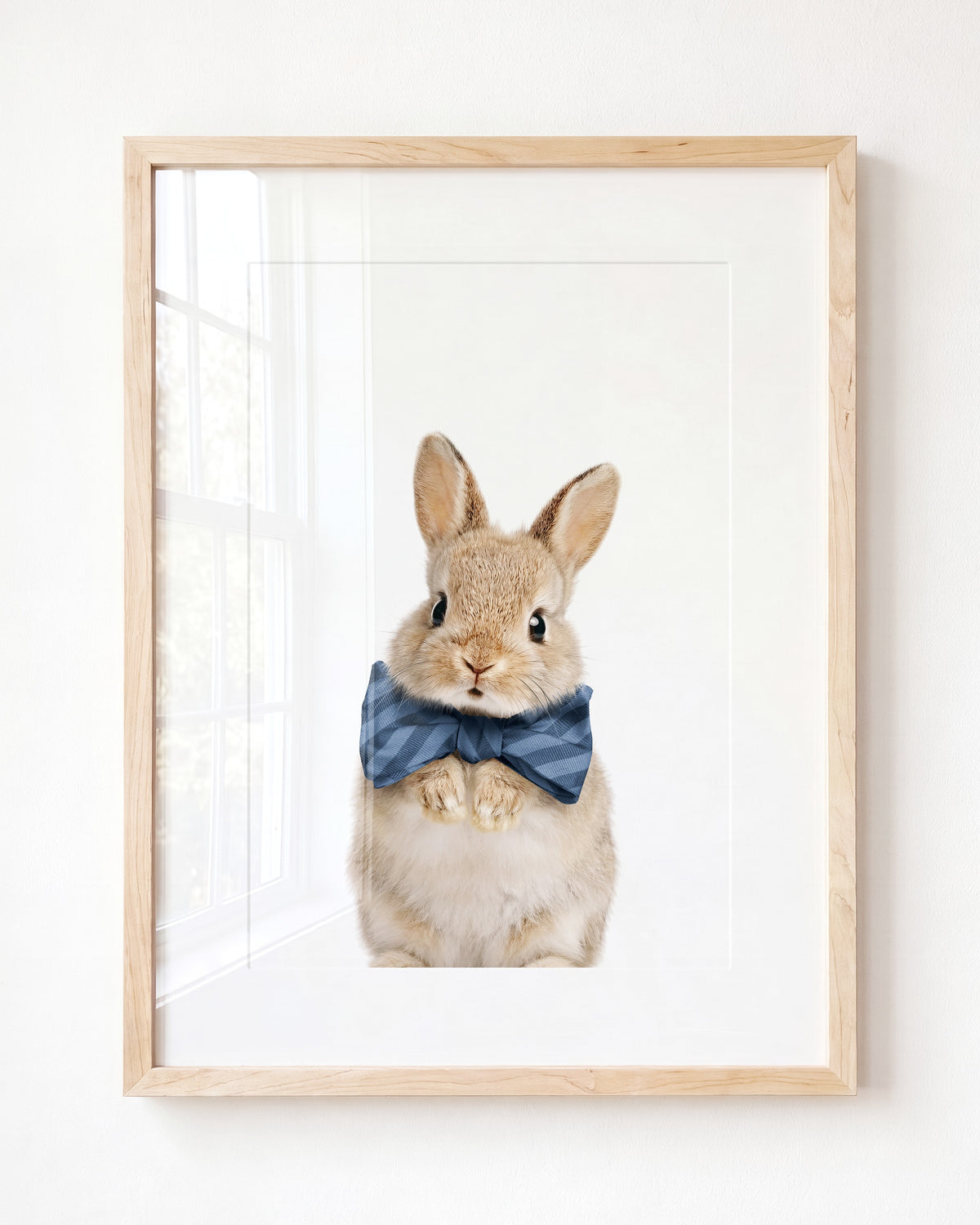 Baby Rabbit