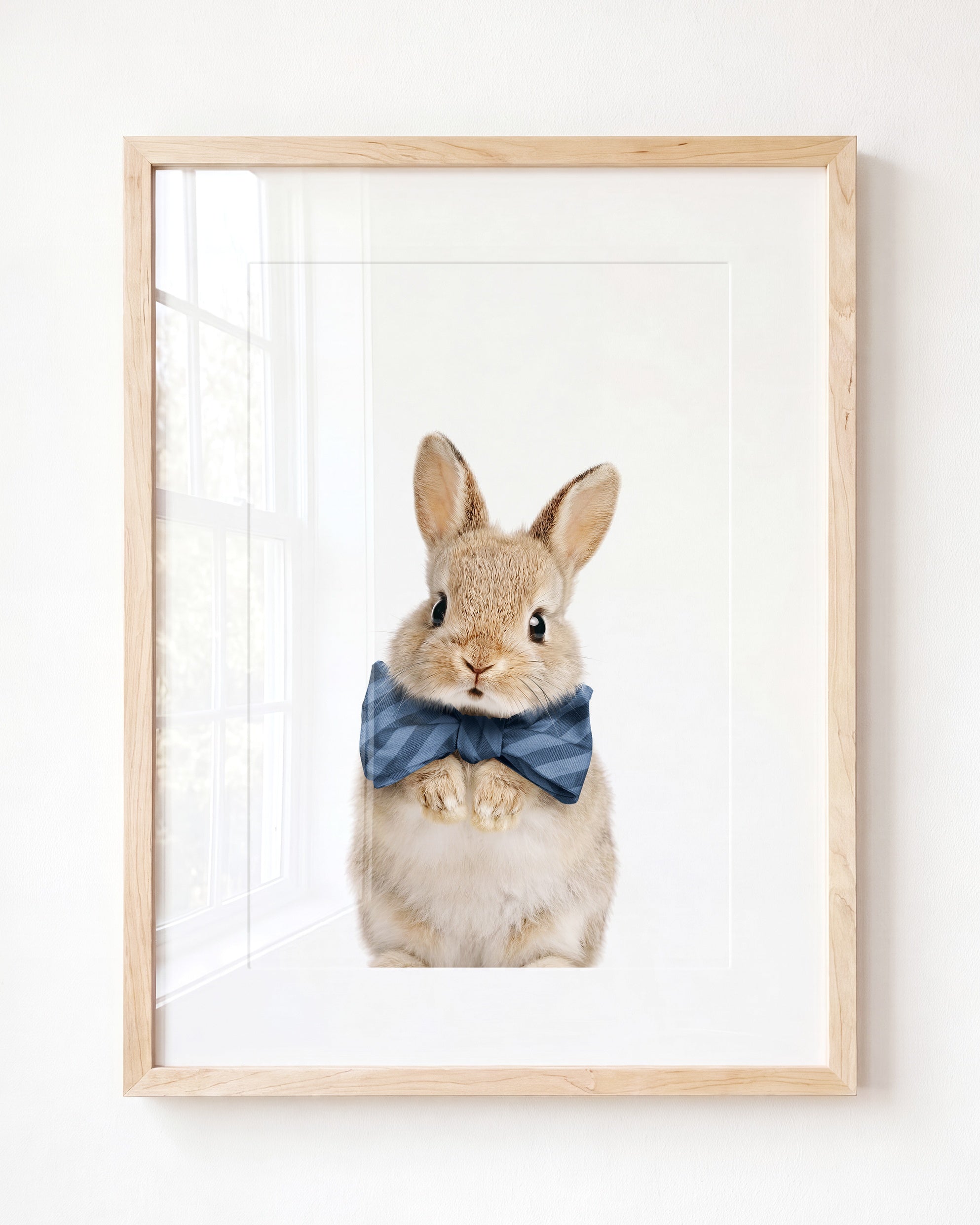 Baby Rabbit