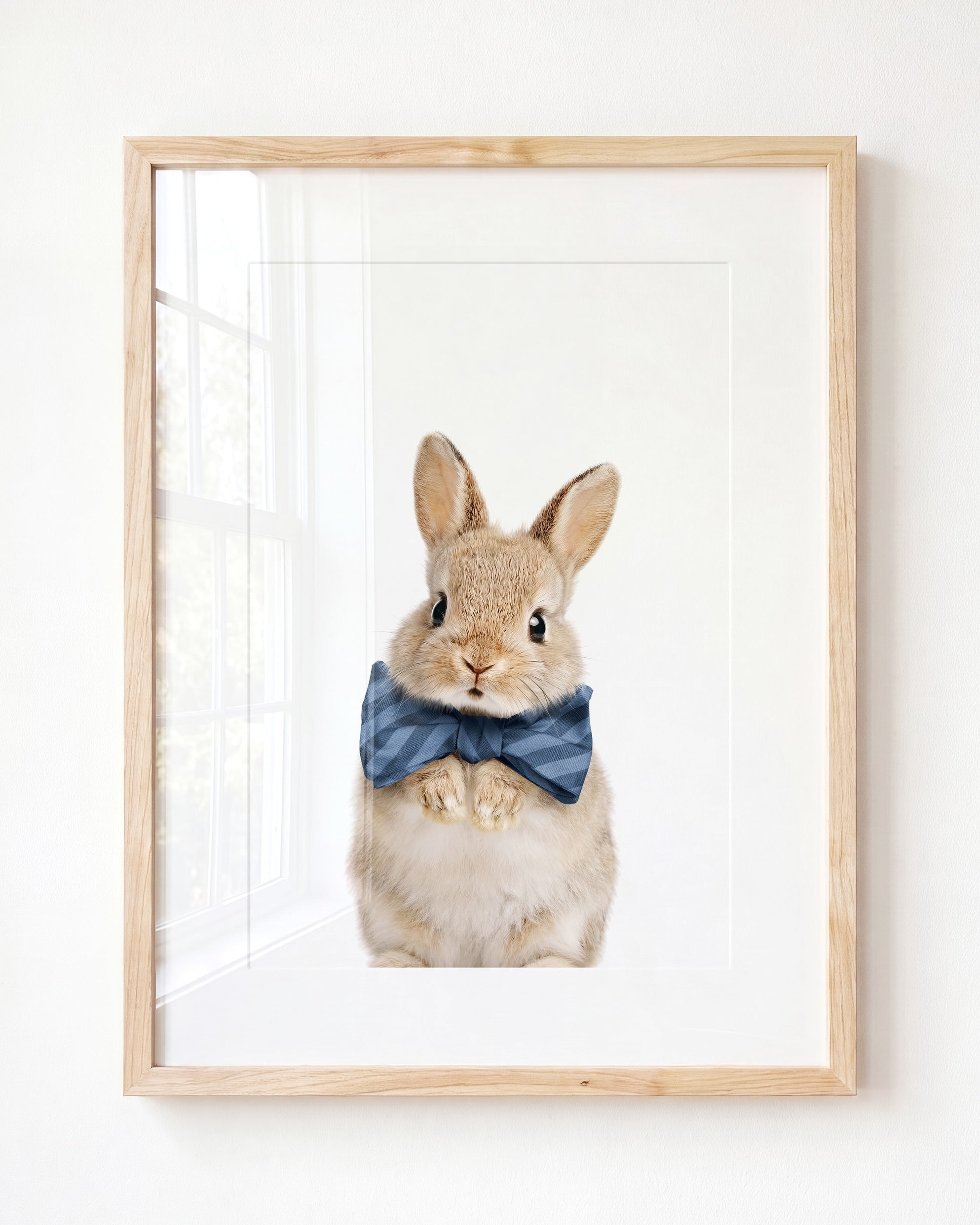 Baby Rabbit