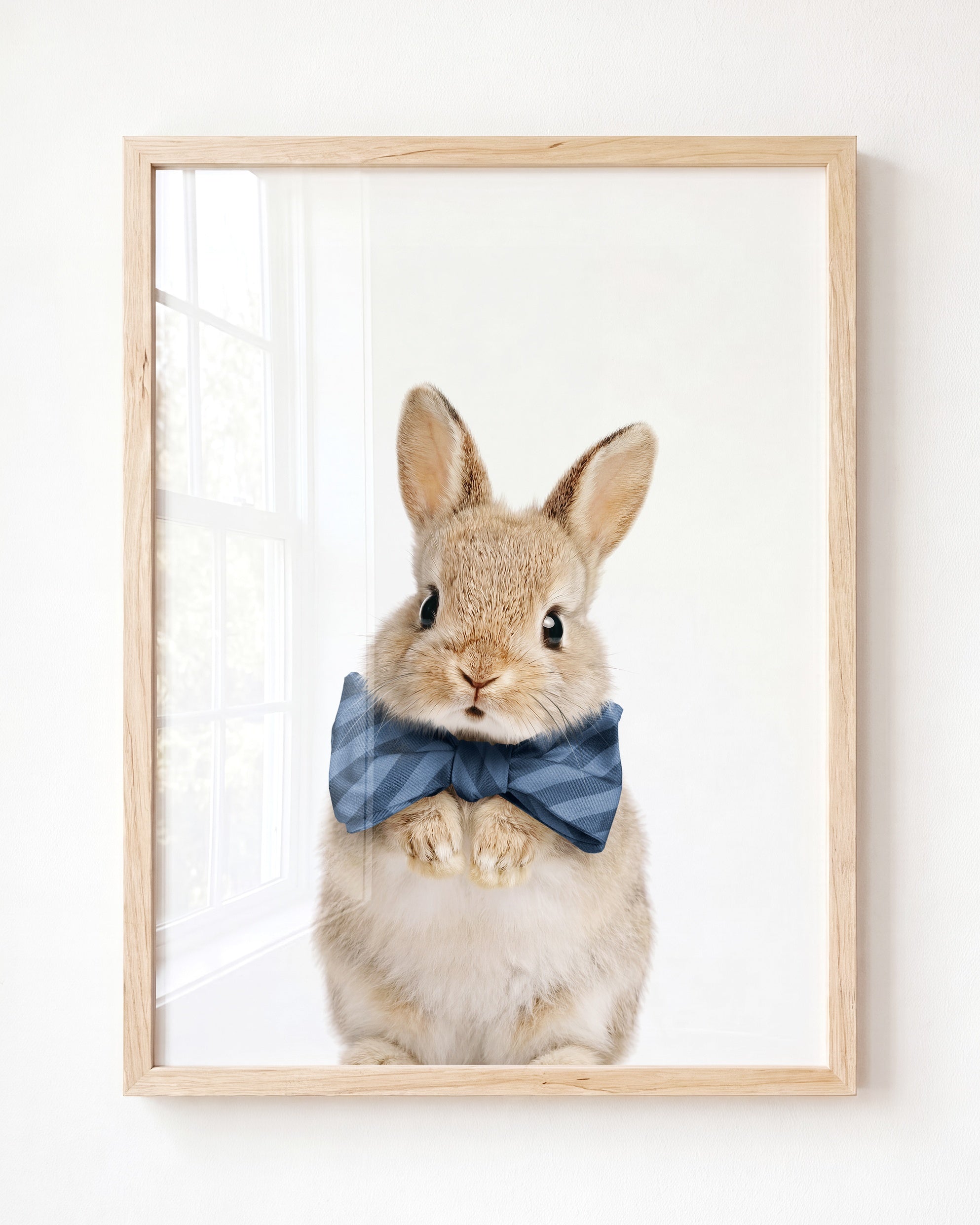 Baby Rabbit