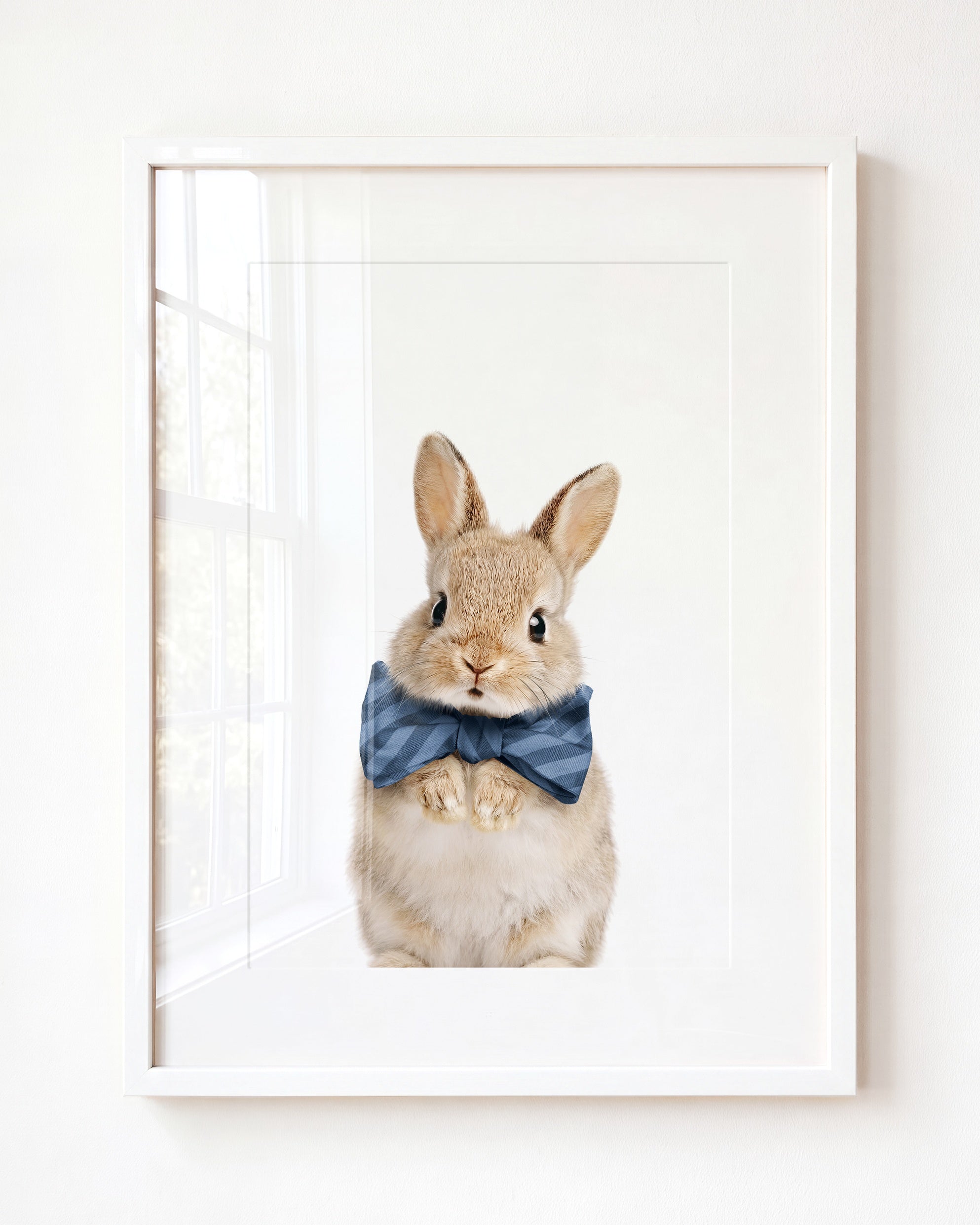 Baby Rabbit