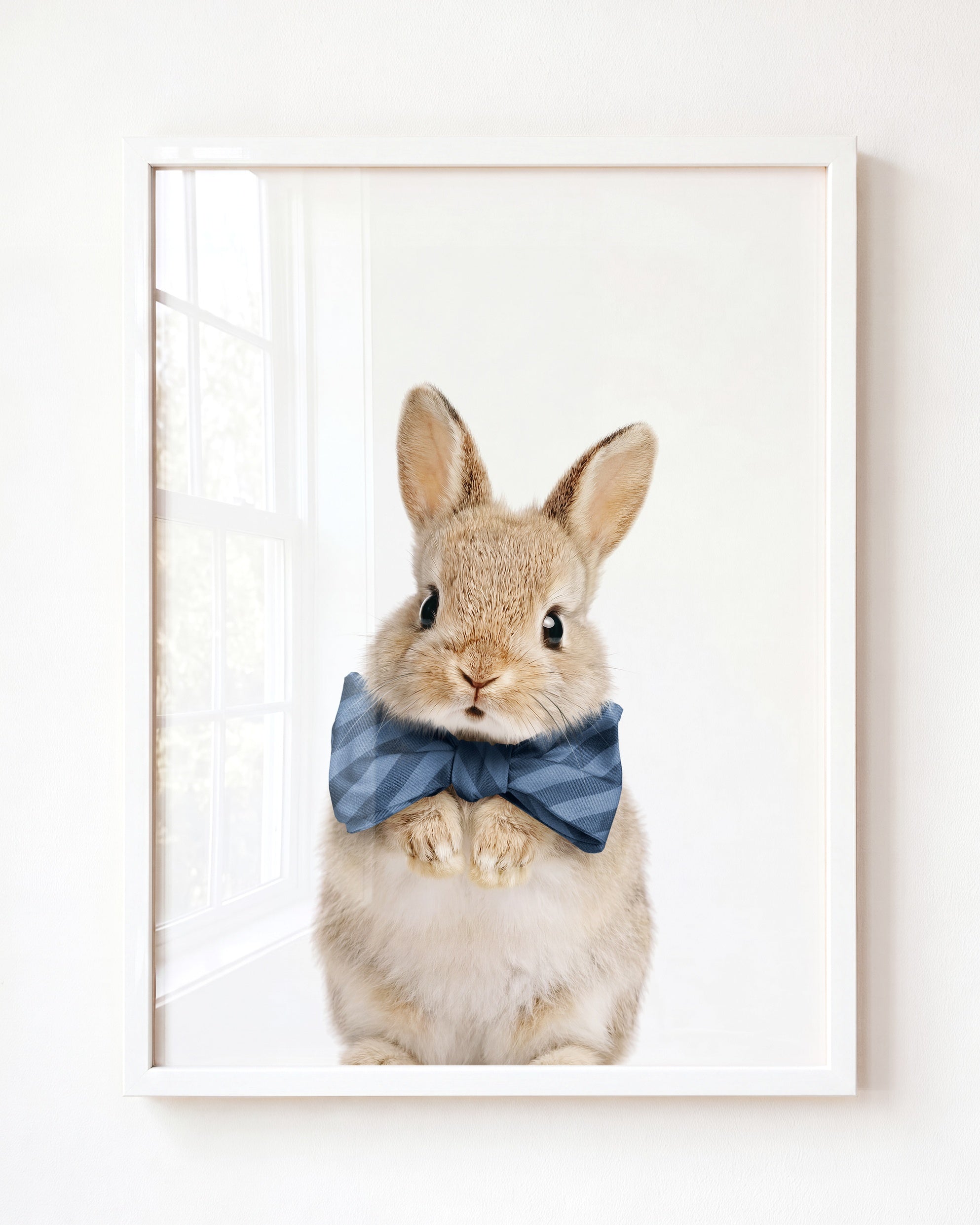 Baby Rabbit