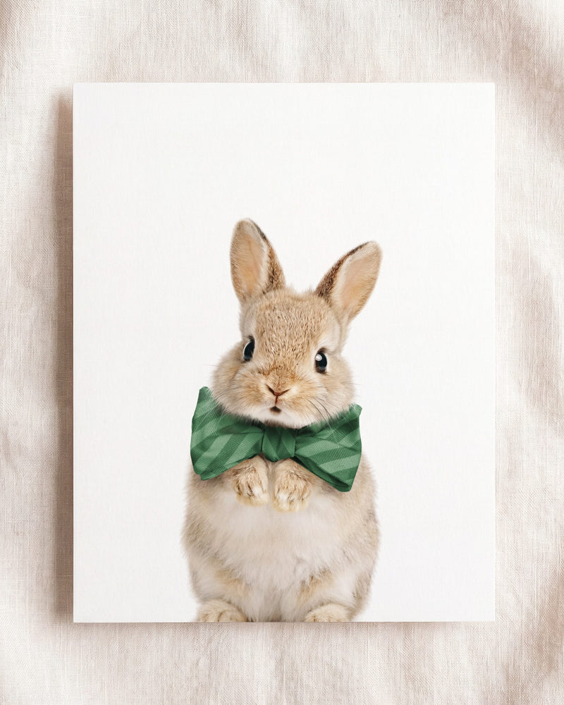 Bow Tie